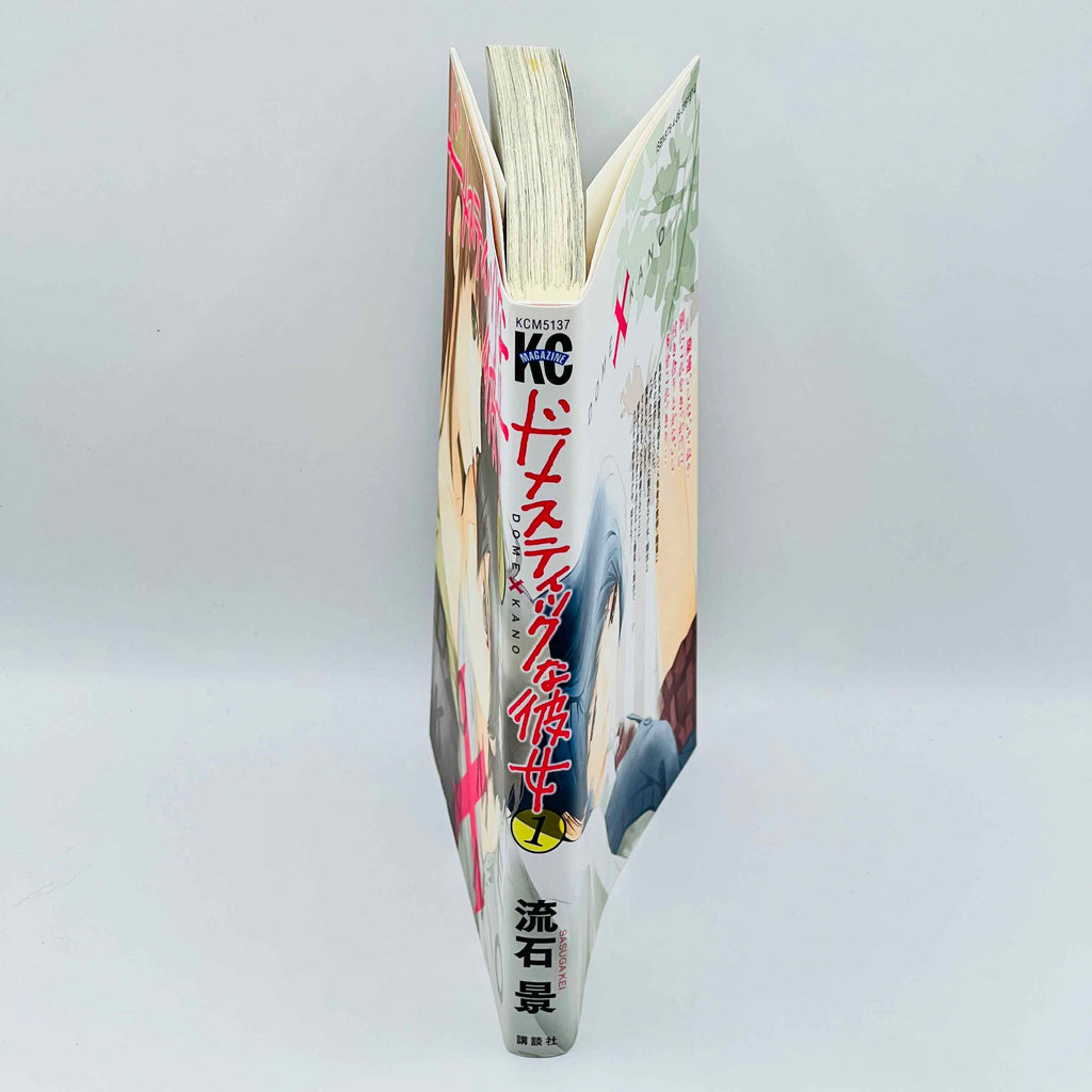 Domestic na Kanojo - Dome Kano - Volume 01