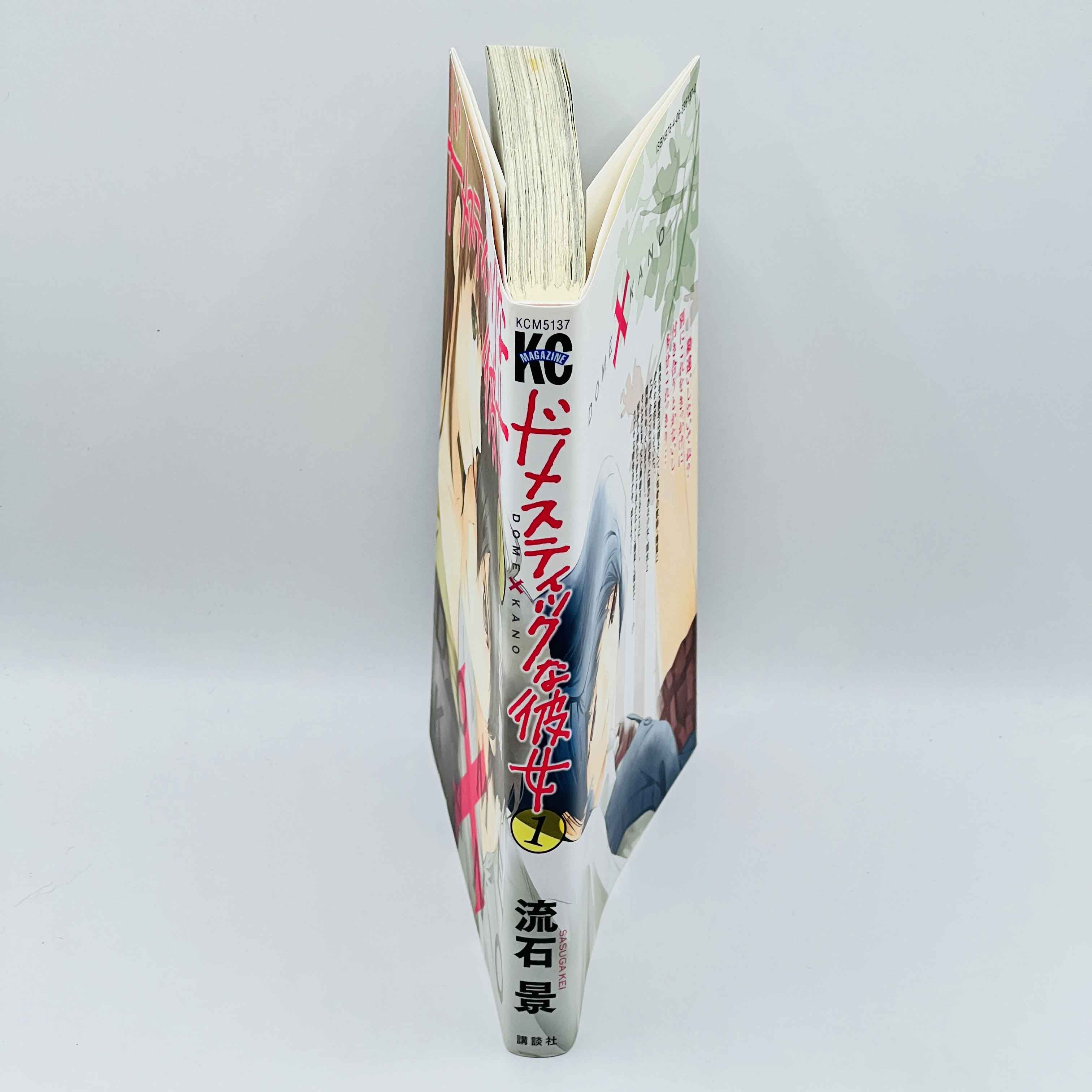 Domestic na Kanojo - Dome Kano - Volume 01