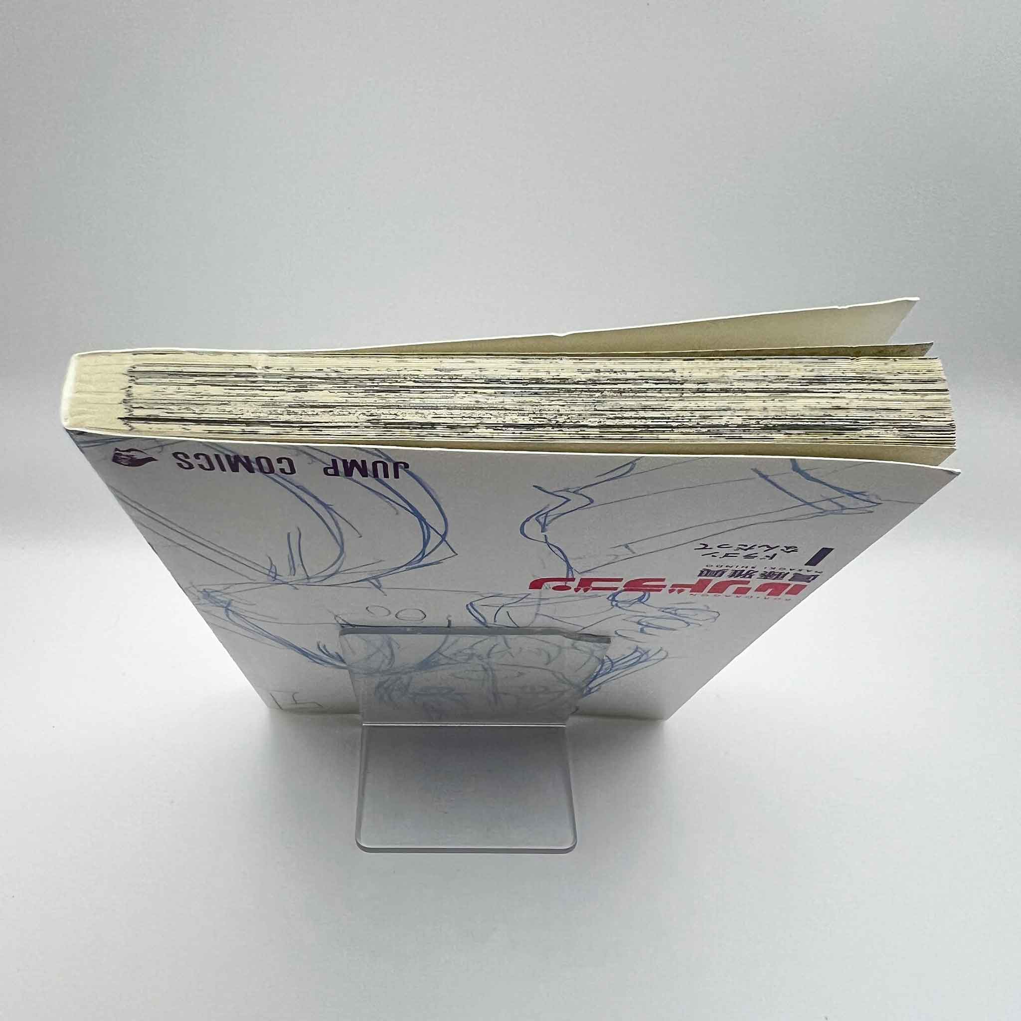 RuriDragon - Volume 01 /w Obi