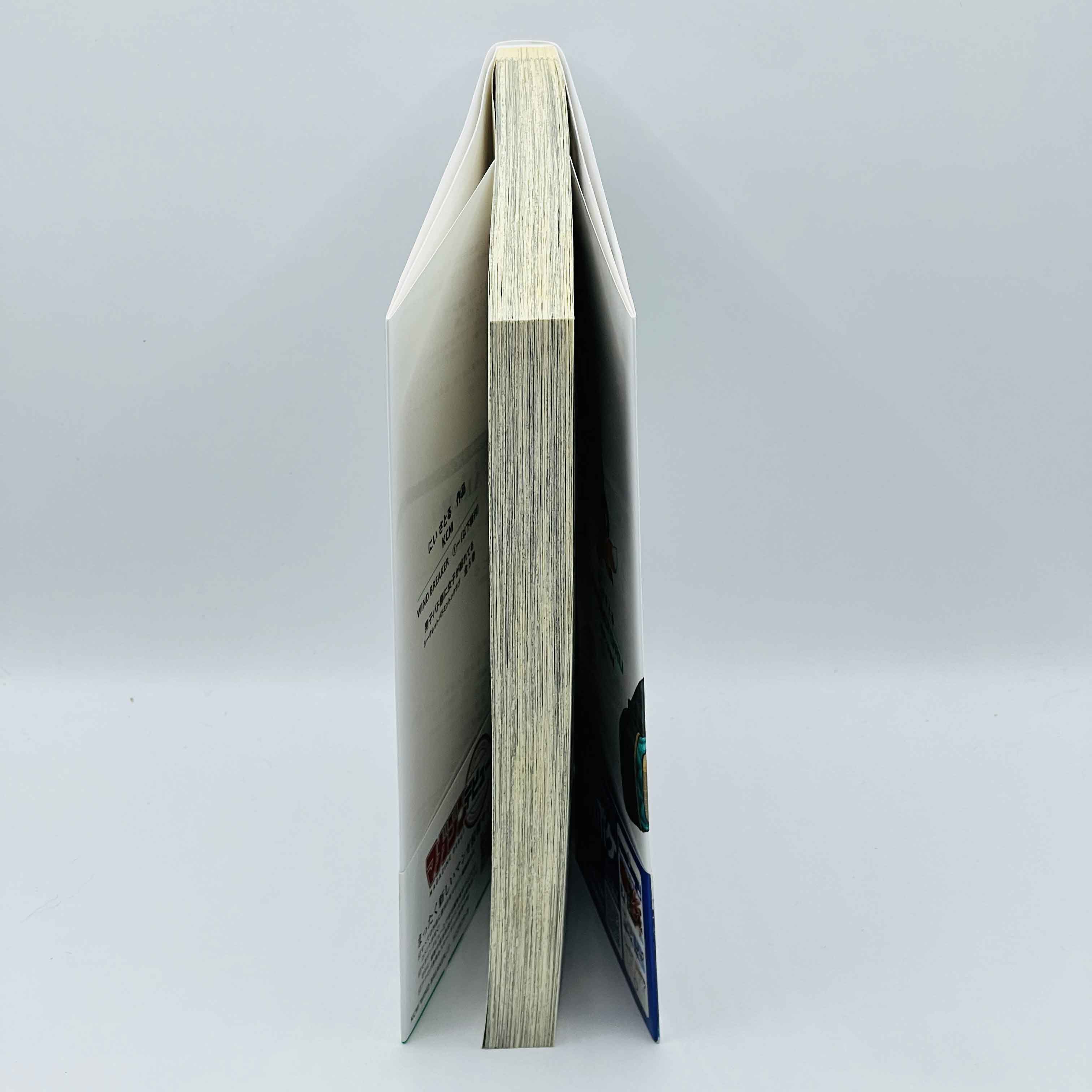 Wind Breaker - Volume 01 /w Obi