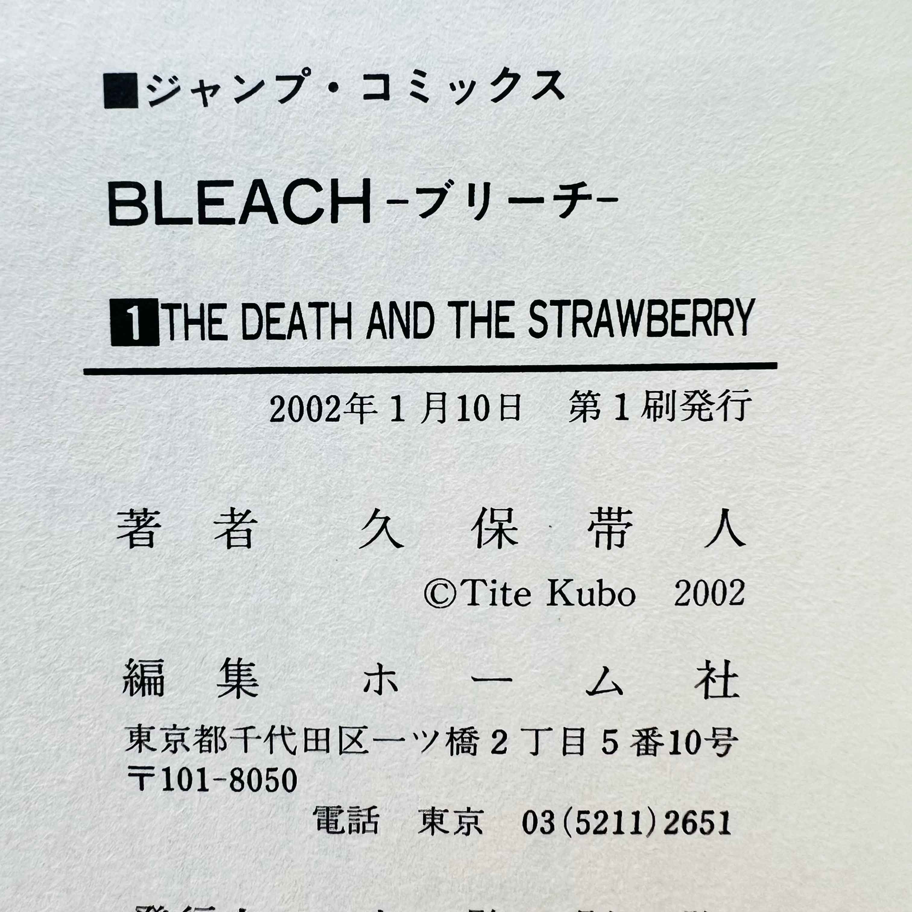 Bleach - Volume 01
