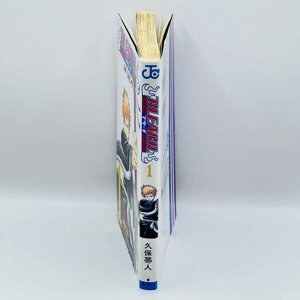 Bleach - Volume 01