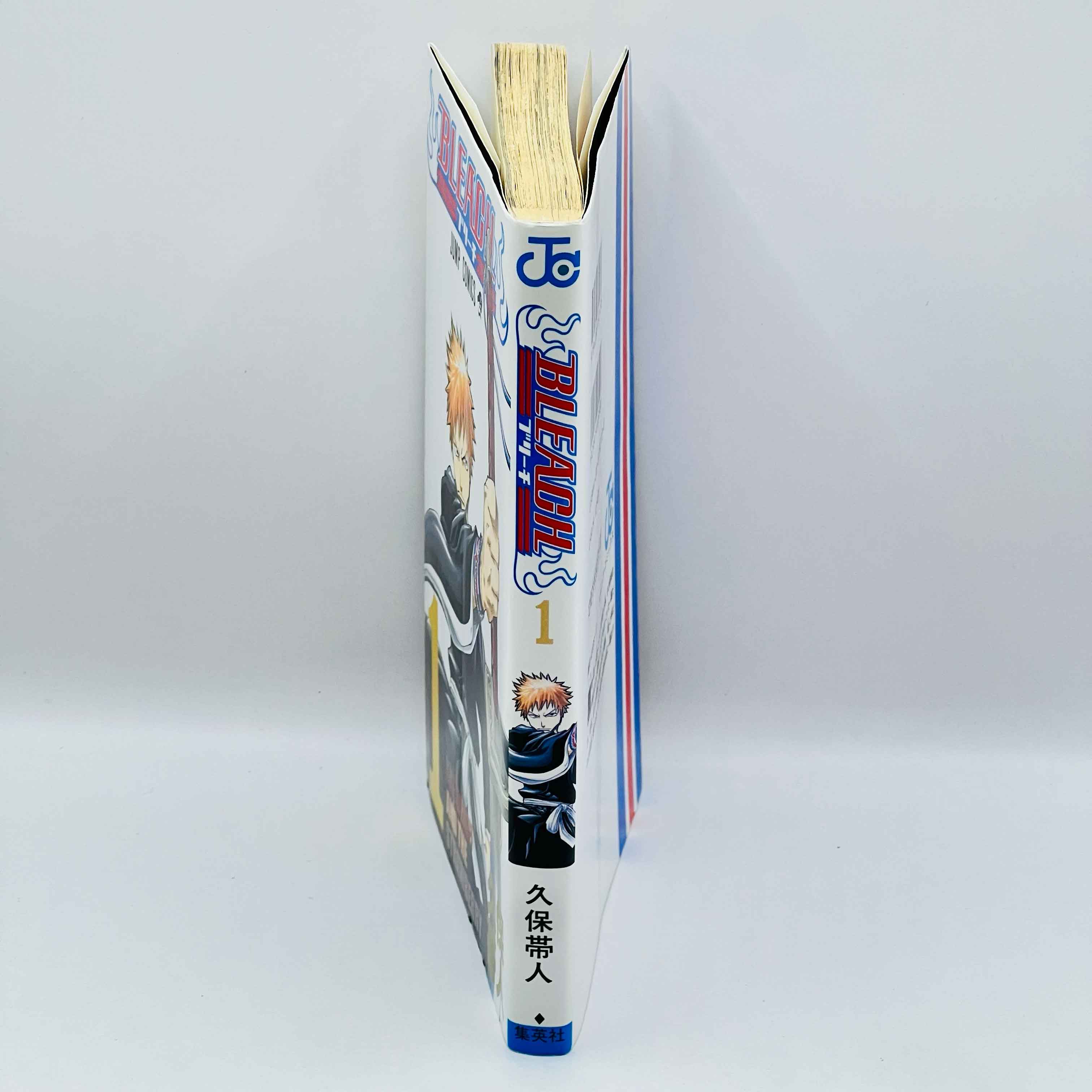 Bleach - Volume 01