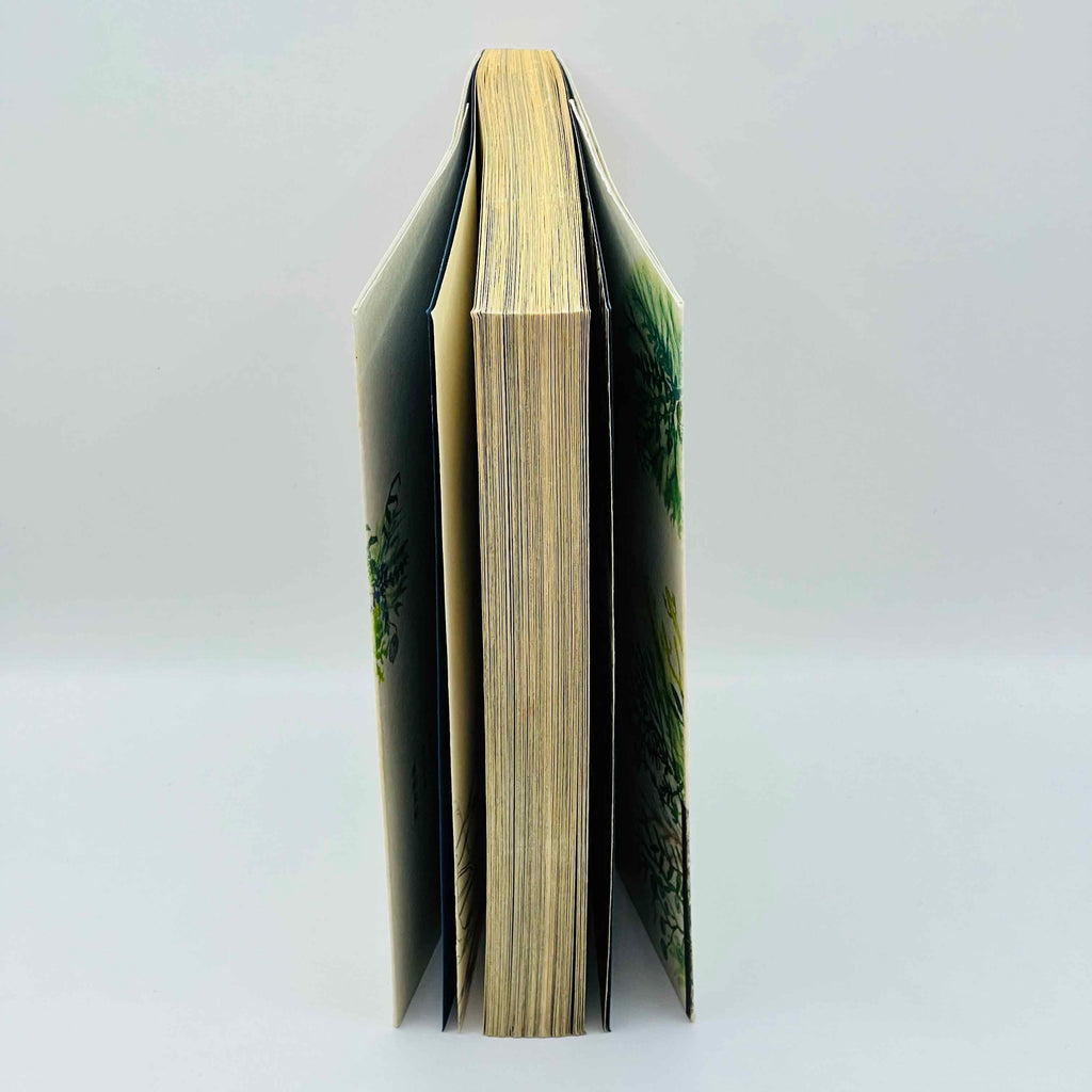 Mushishi - Volume 01