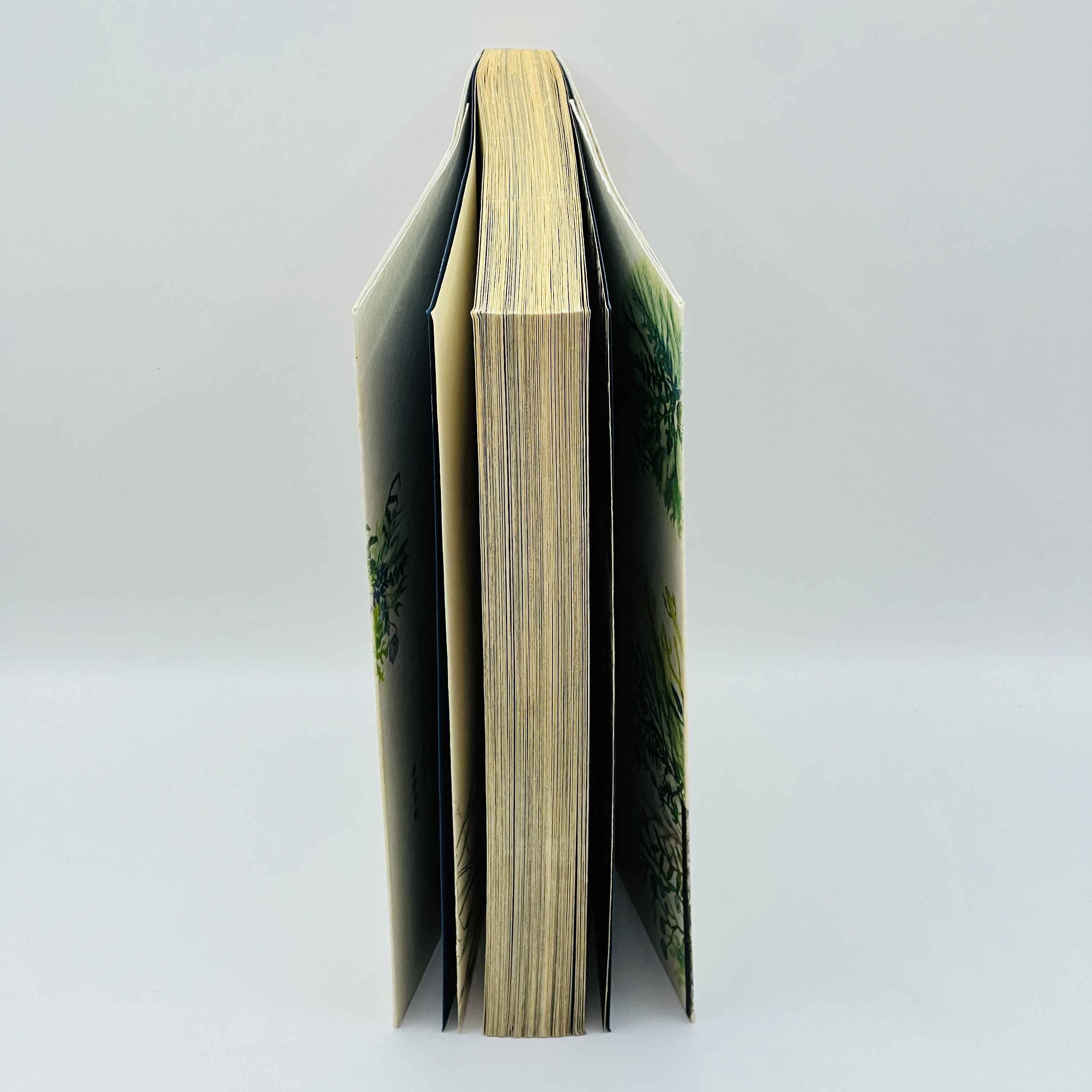 Mushishi - Volume 01