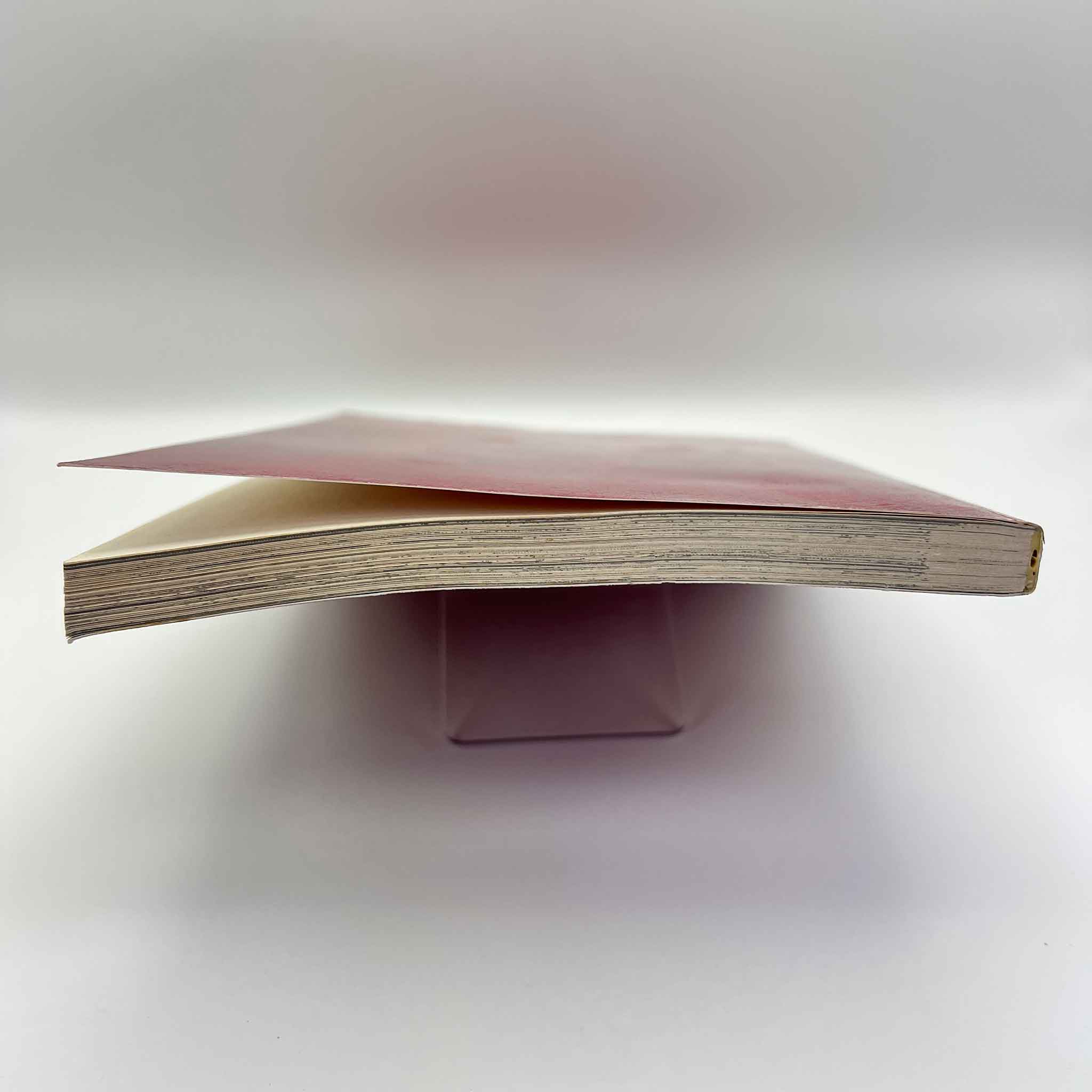 Dorohedoro - Volume 01