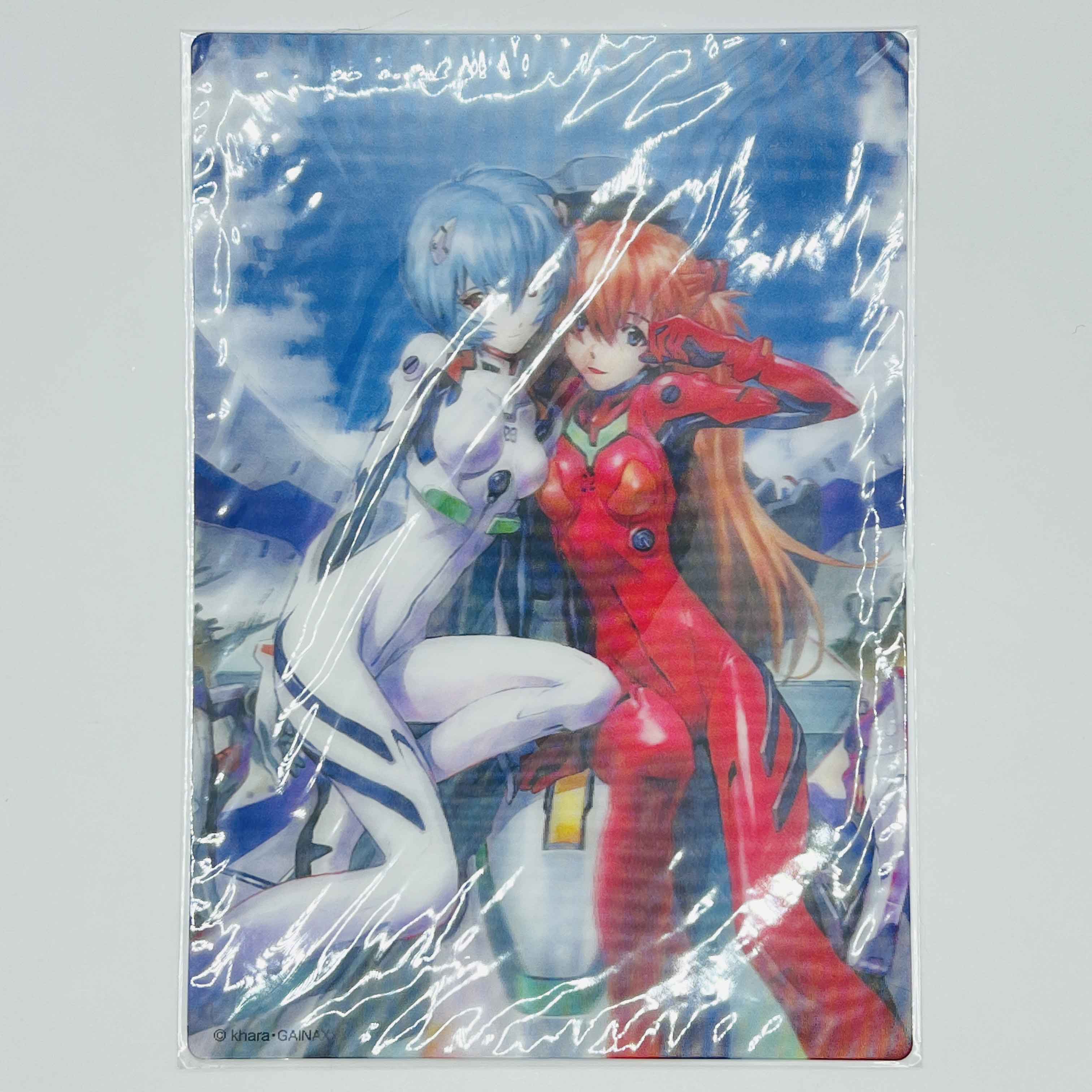 Neon Genesis Evangelion (Premium Edition) - Volume 13