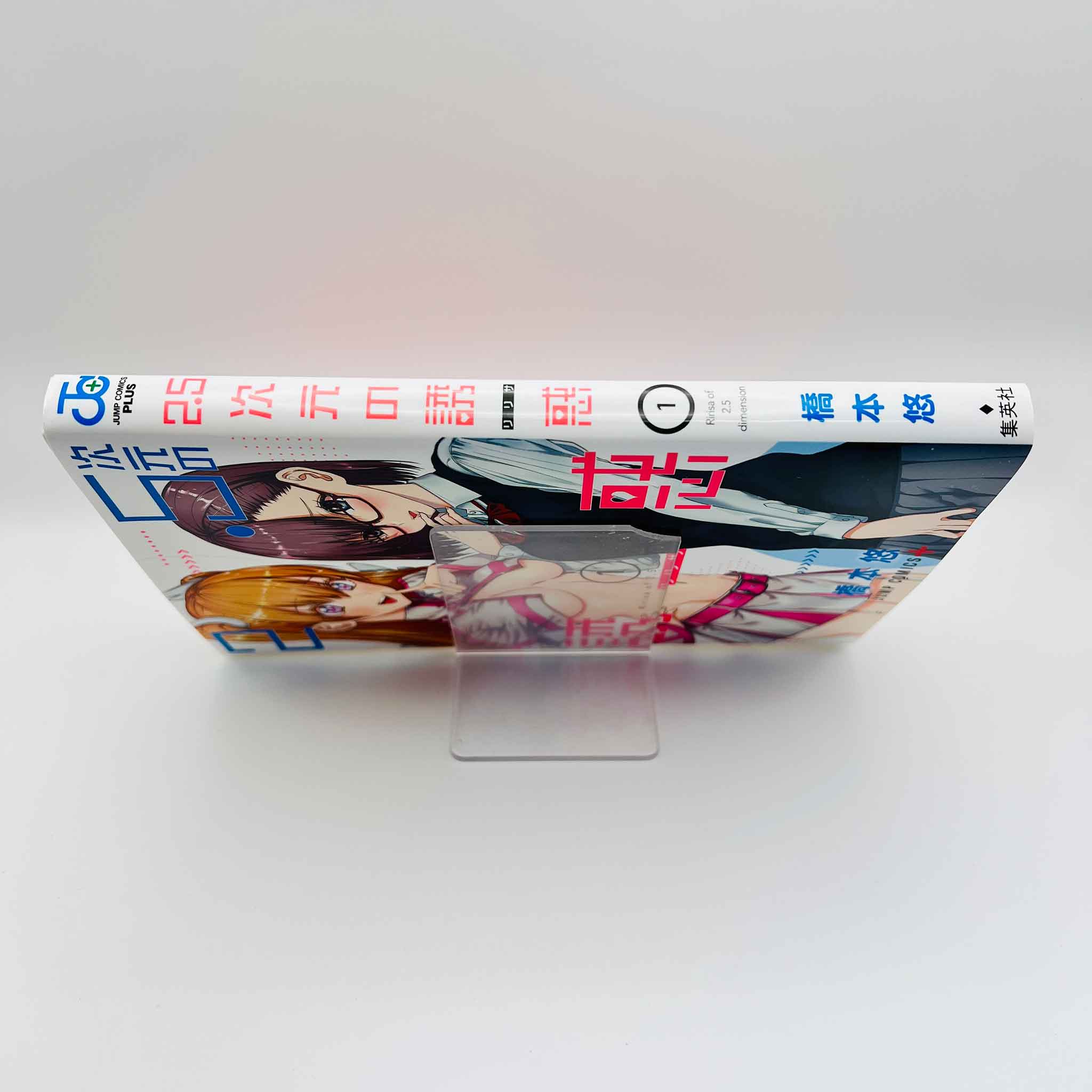 Ririsa of 2.5 Dimension - Volume 01