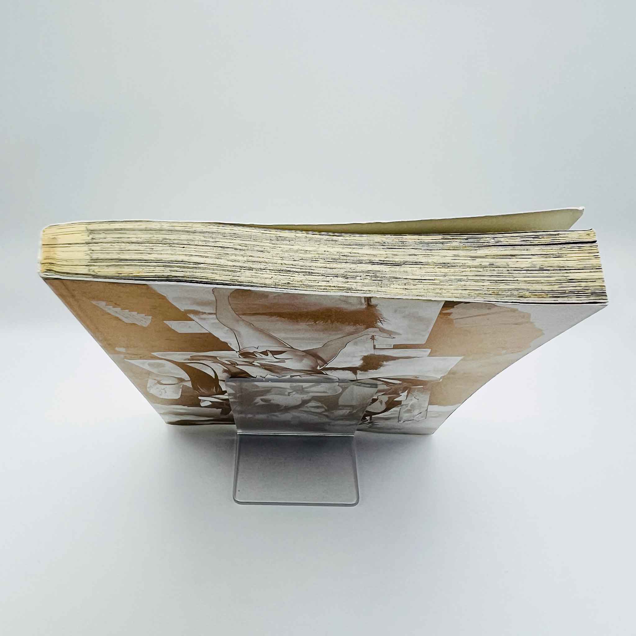 Is It Wrong to Try to Pick Up Girls in a Dungeon ? - Volume 01