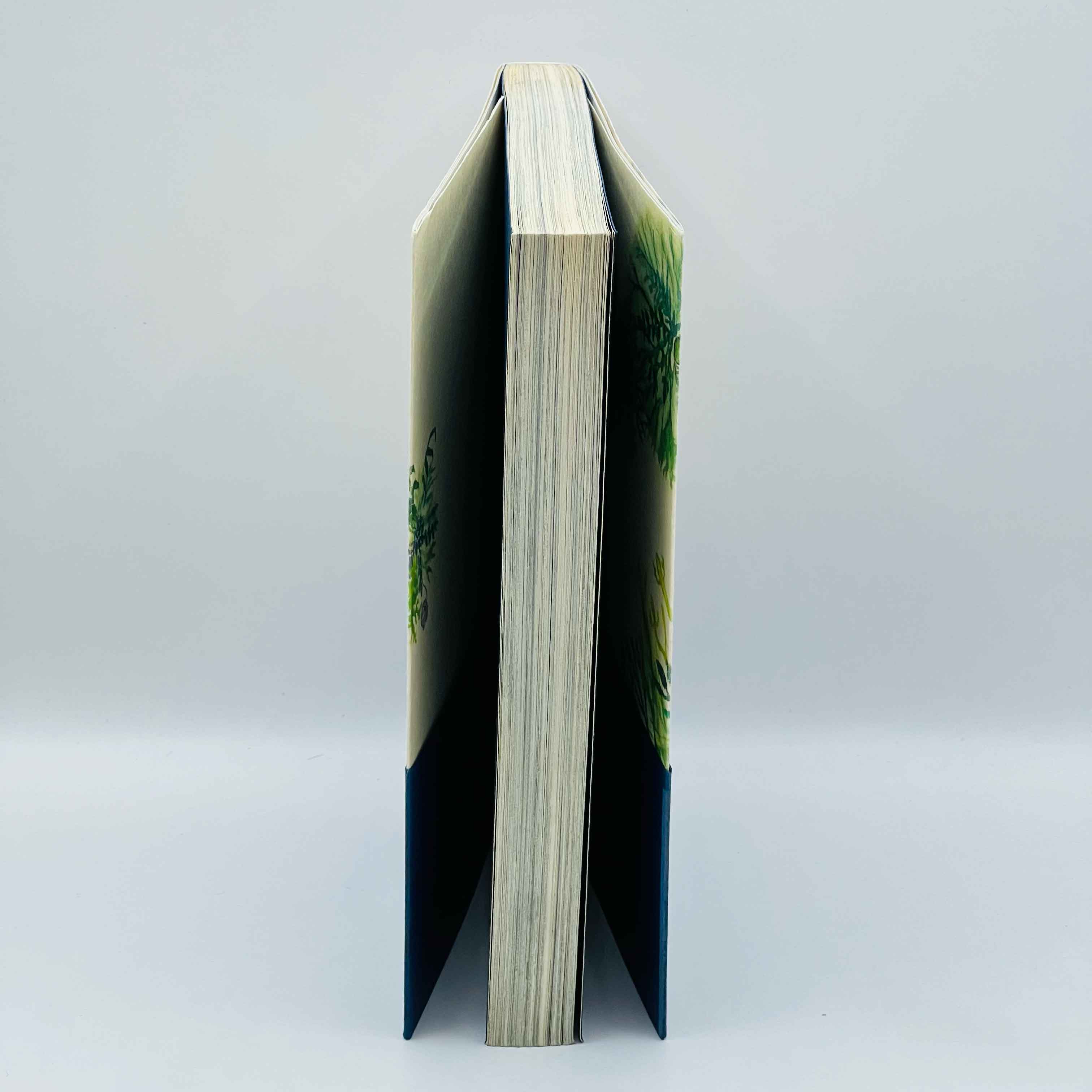 Mushishi - Volume 01 /w Obi