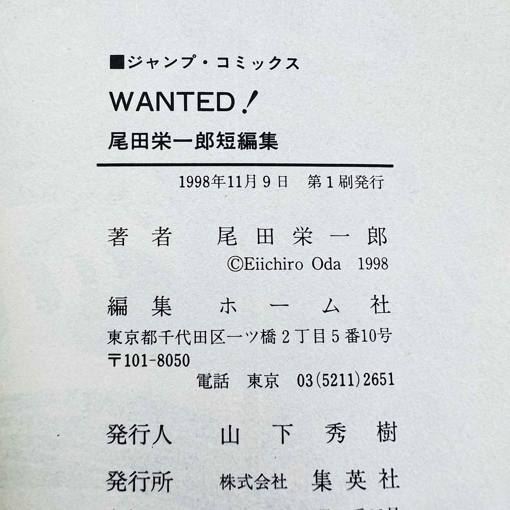 One Piece Wanted
