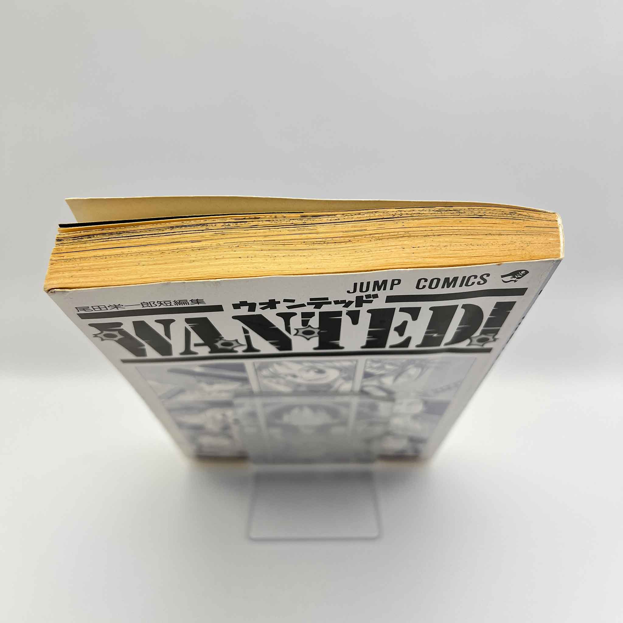 One Piece Wanted