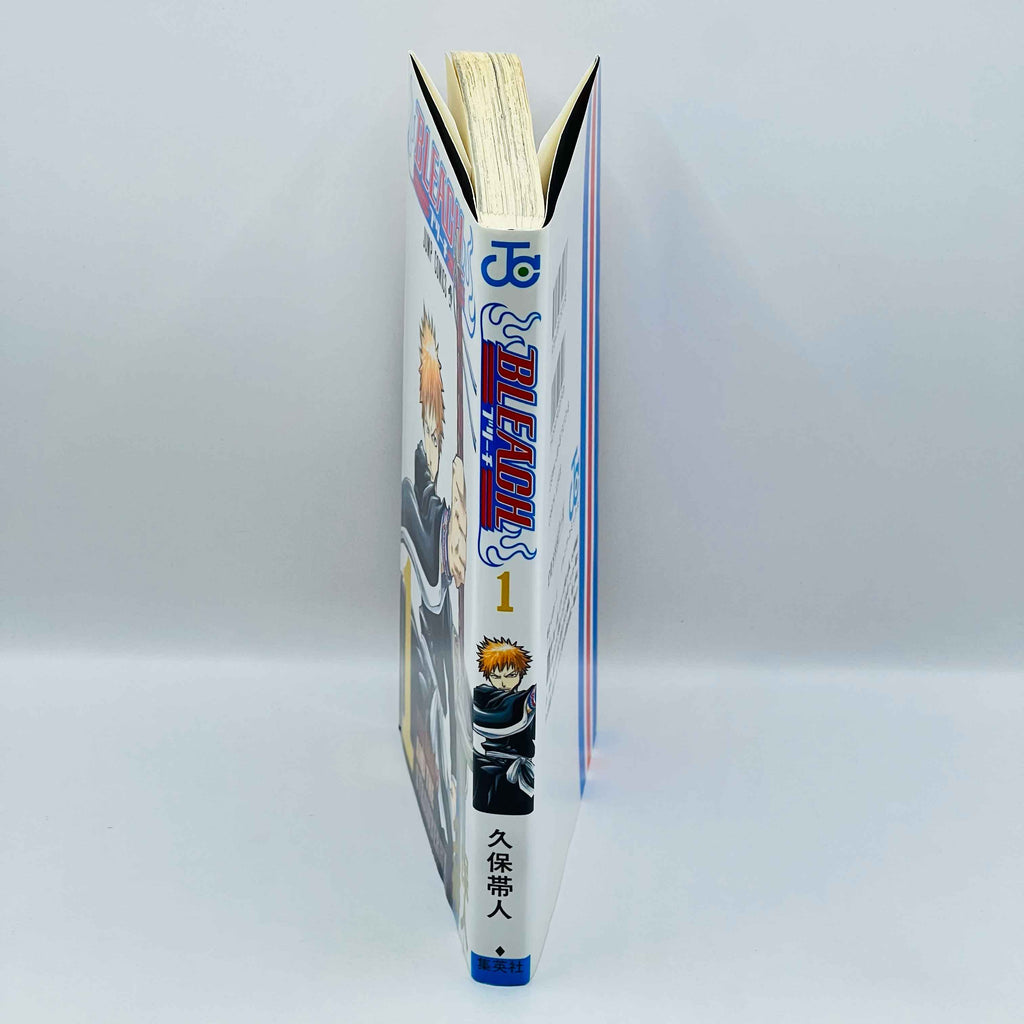 Bleach - Volume 01