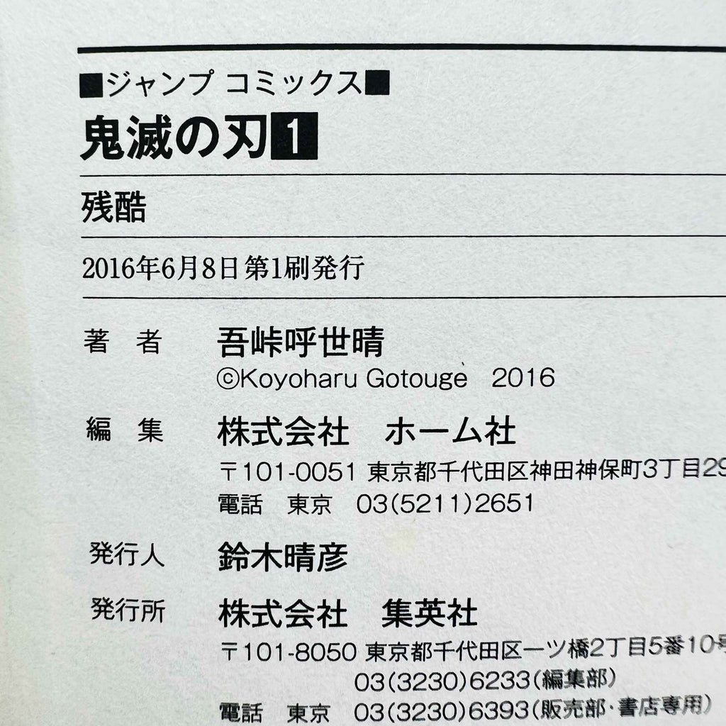 Demon Slayer - Volume 01
