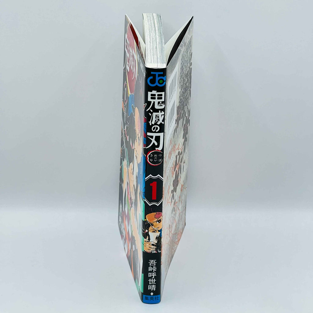 Demon Slayer - Volume 01