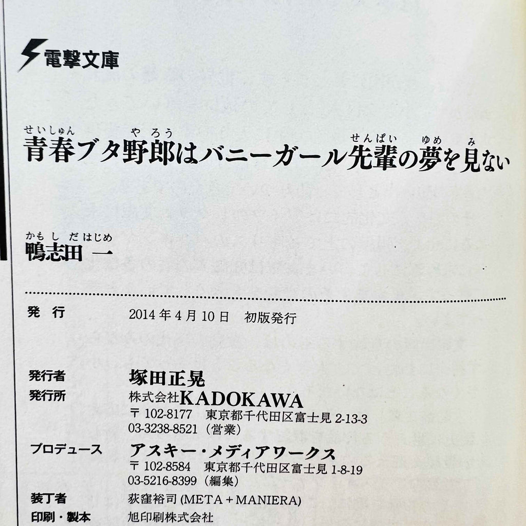 Rascal does not Dream of Bunny Girl Senpai (Novel) ~「Wish Reserved」