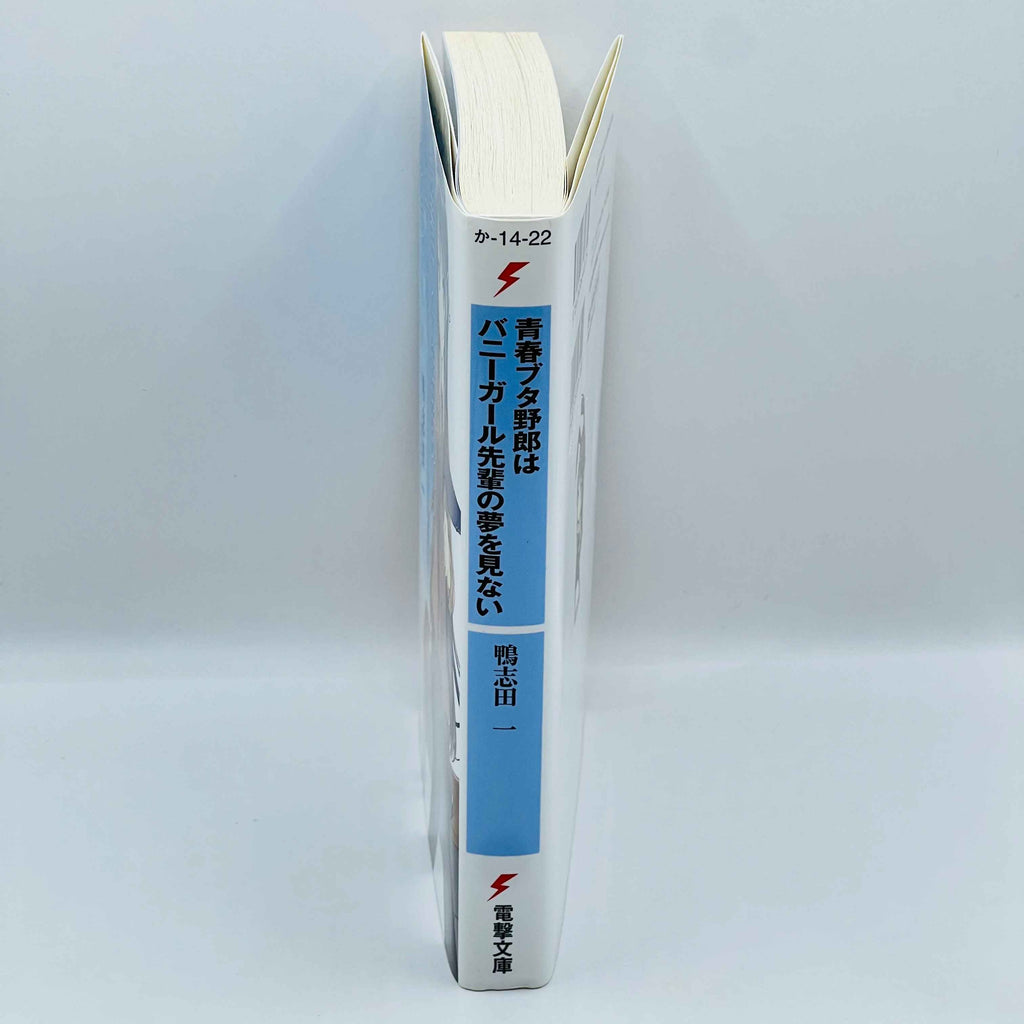 Rascal does not Dream of Bunny Girl Senpai (Novel) ~「Wish Reserved」