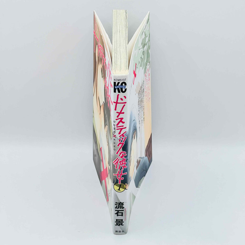 Domestic na Kanojo - Dome Kano - Volume 01