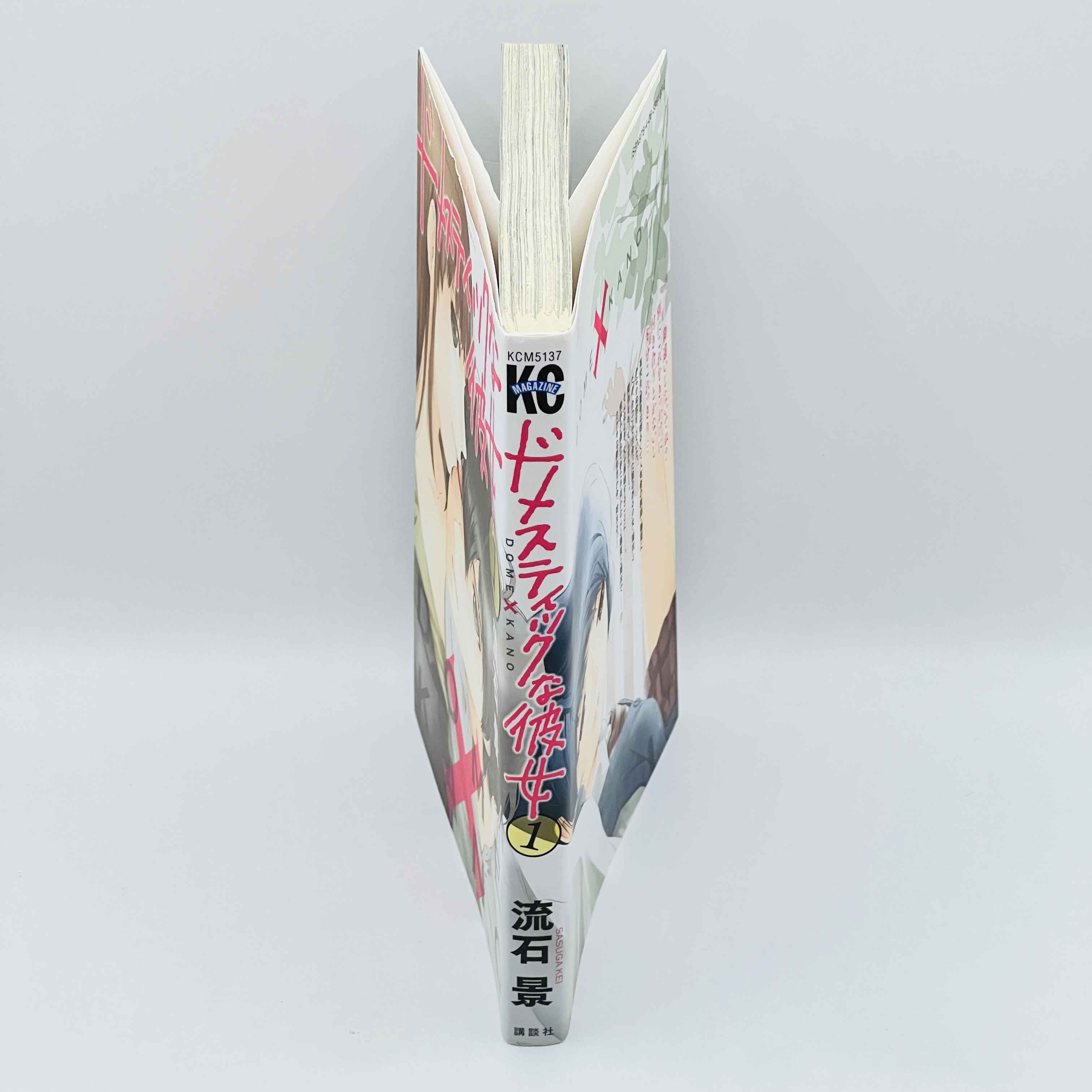 Domestic na Kanojo - Dome Kano - Volume 01