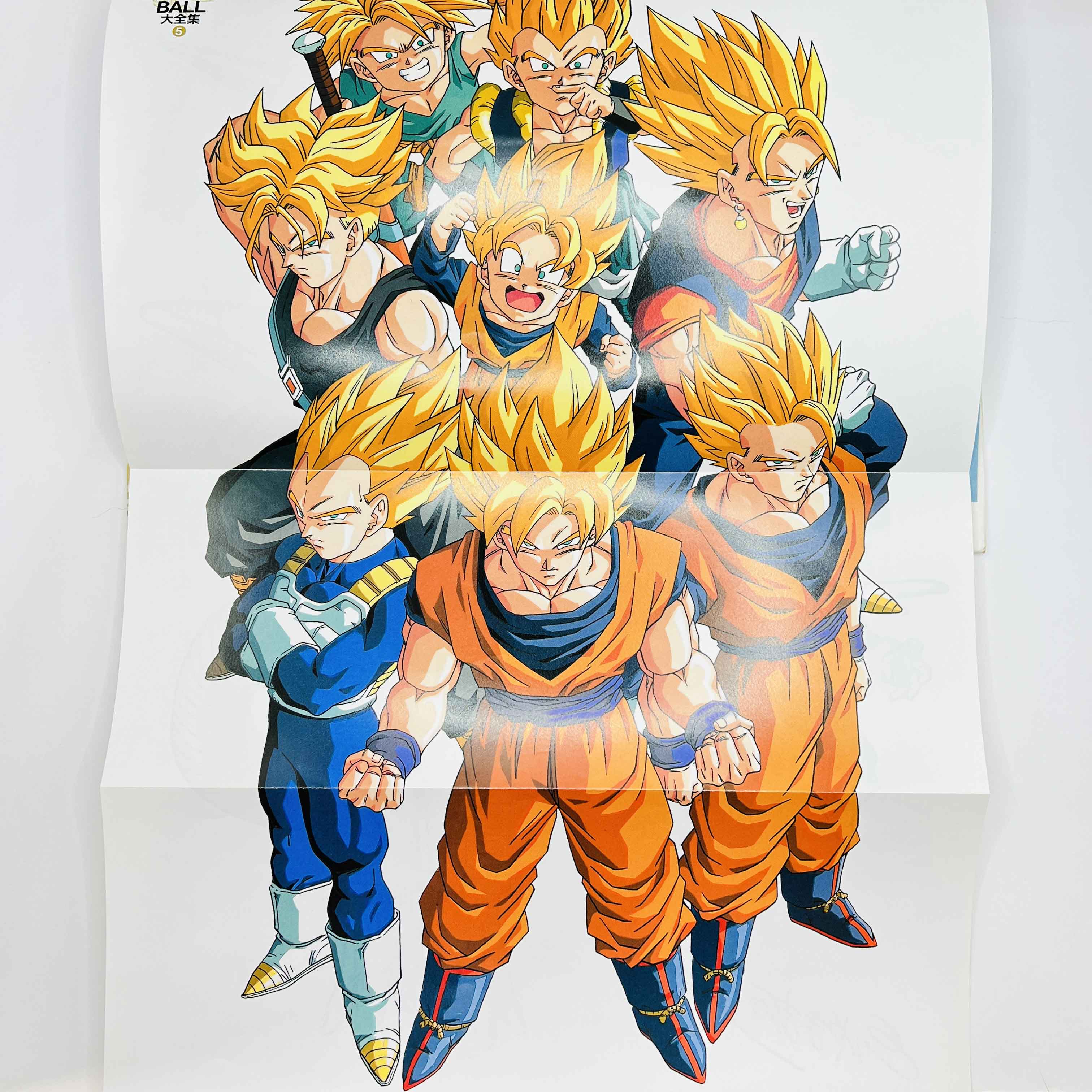 Dragon Ball (Daizenshu TV Animation Part 2 Guide Book) - Volume 05