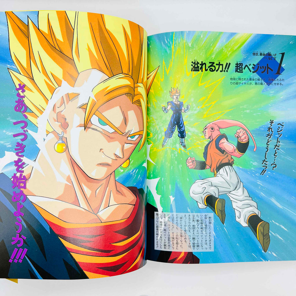 Dragon Ball (Chozenshu Animation Guide Part 1 Guide Book) - Volume 02