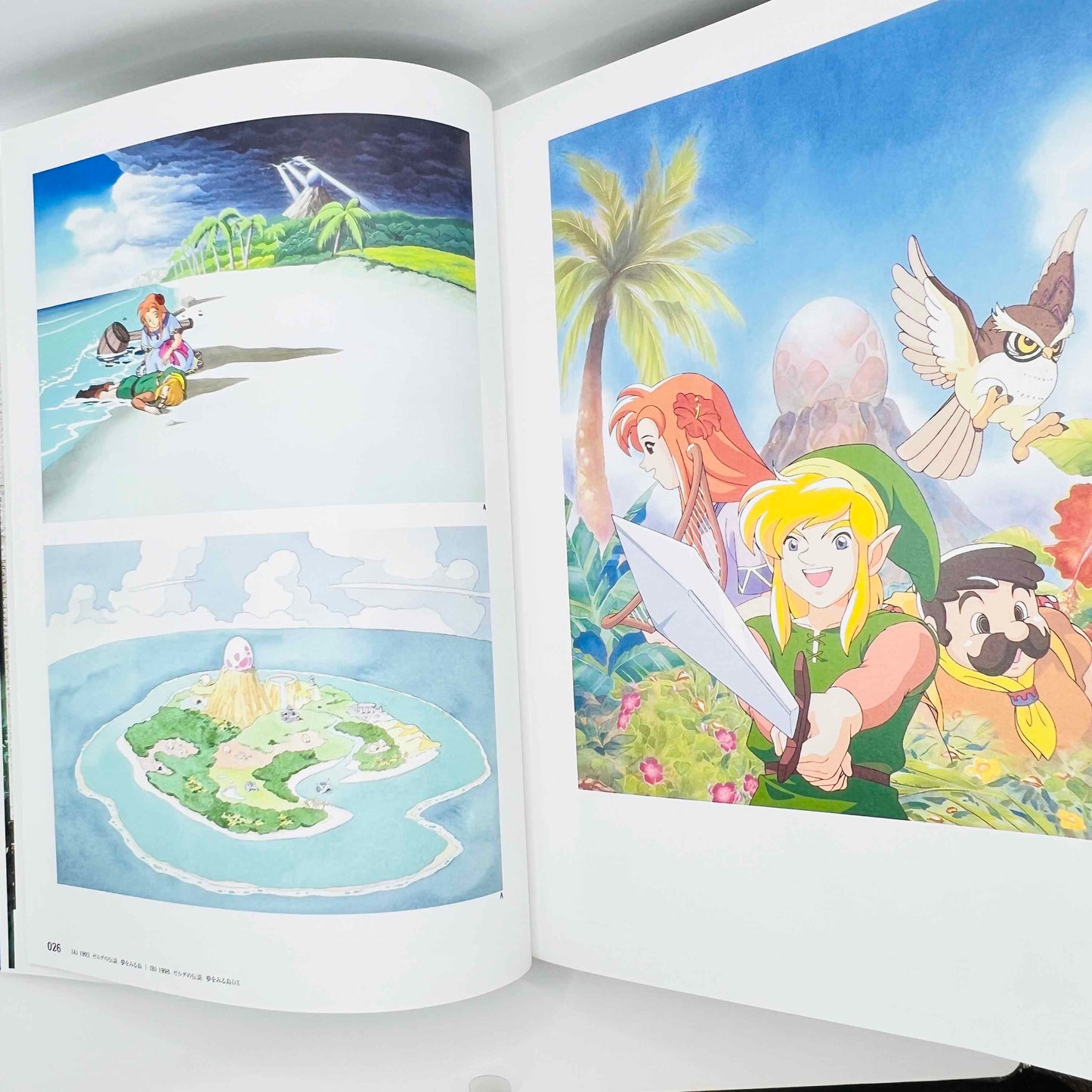 Zelda Hyrule Graphics (30th Anniversary Artbook) /w Obi