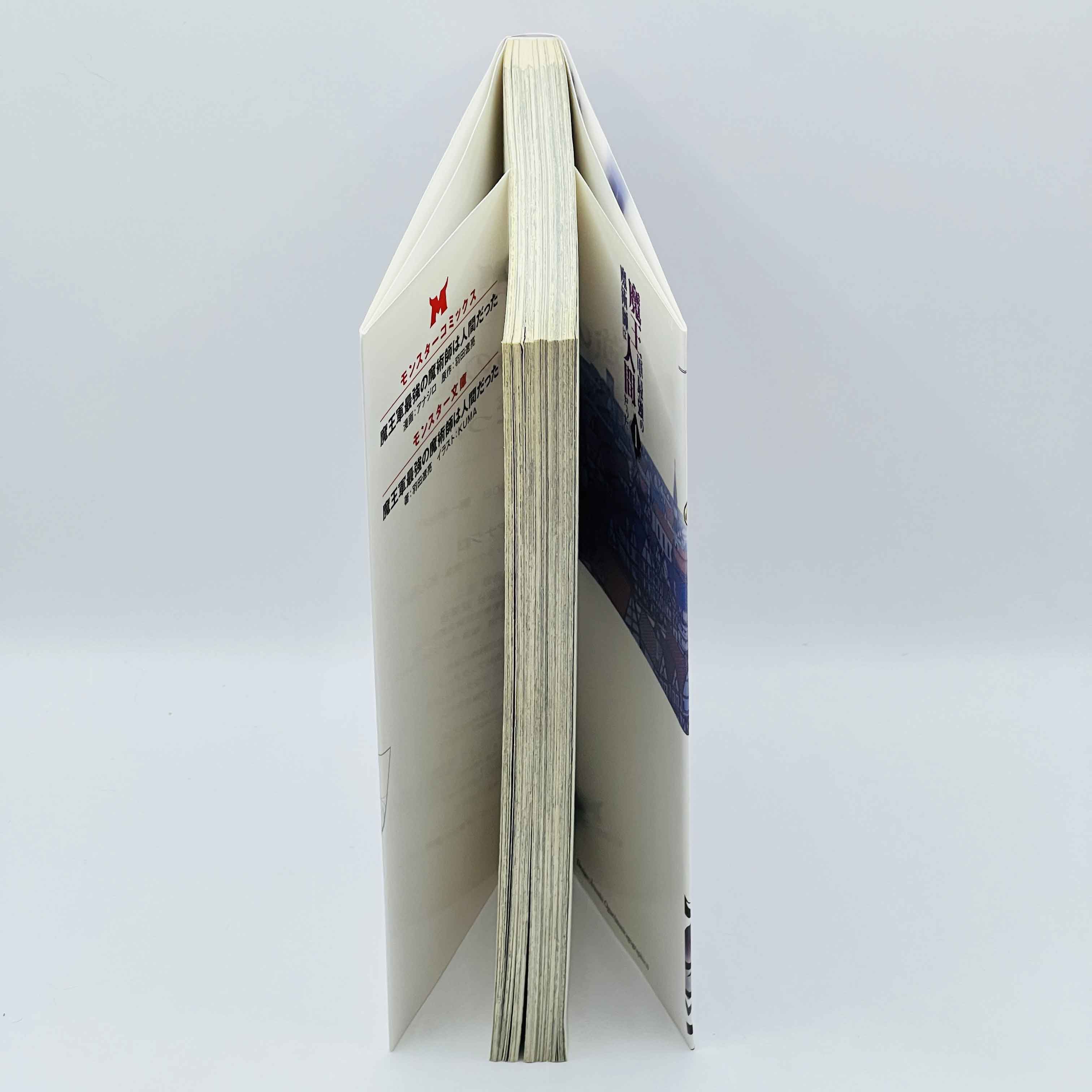 The Strongest Magician in the Demon Lord's Army Was a Human - Volume 01