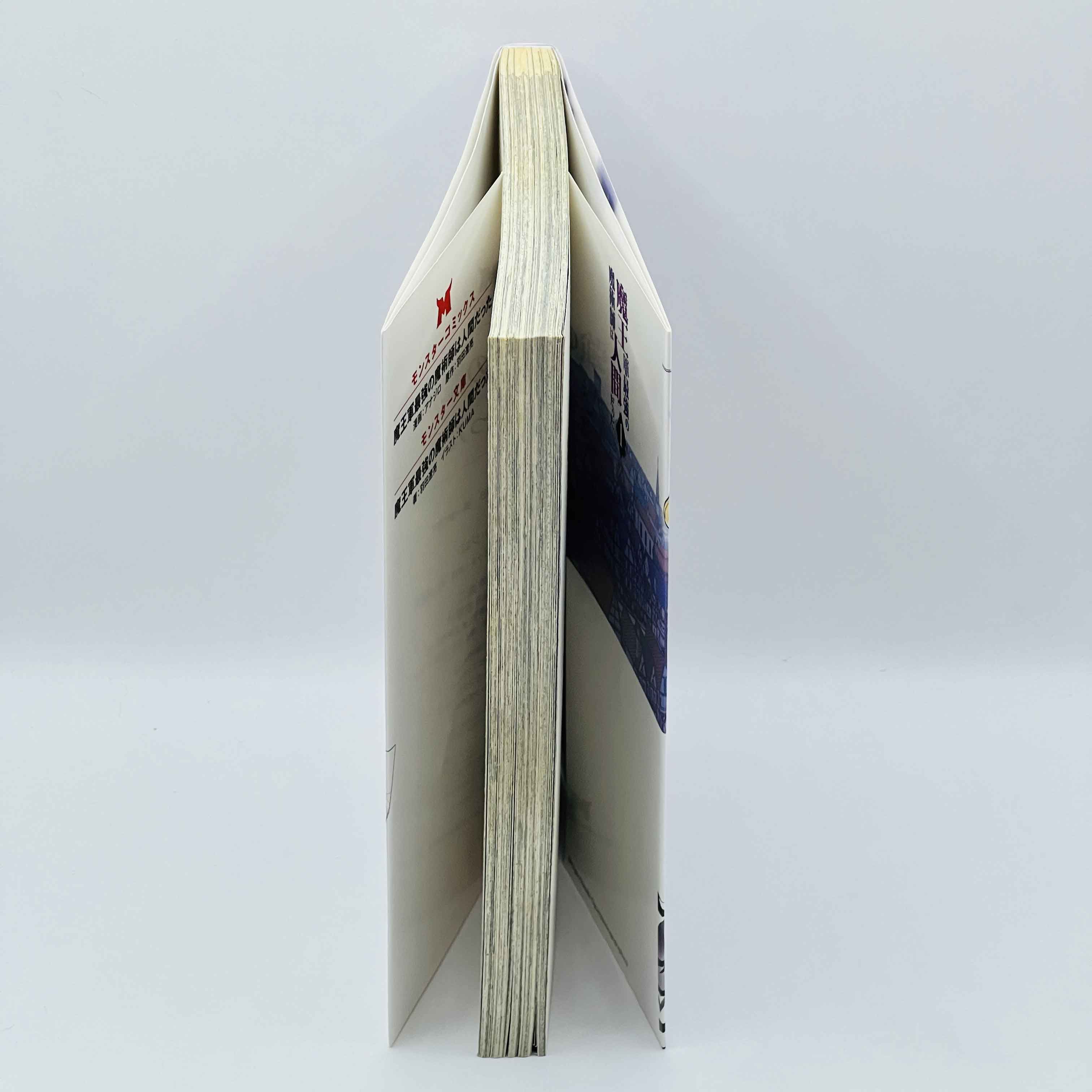 The Strongest Magician in the Demon Lord's Army Was a Human - Volume 01