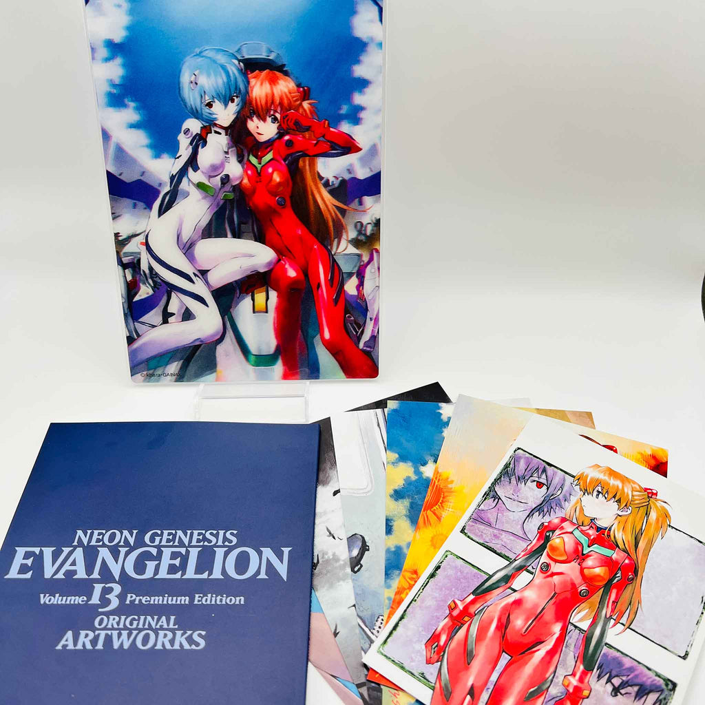 Neon Genesis Evangelion (Premium Edition) - Volume 13