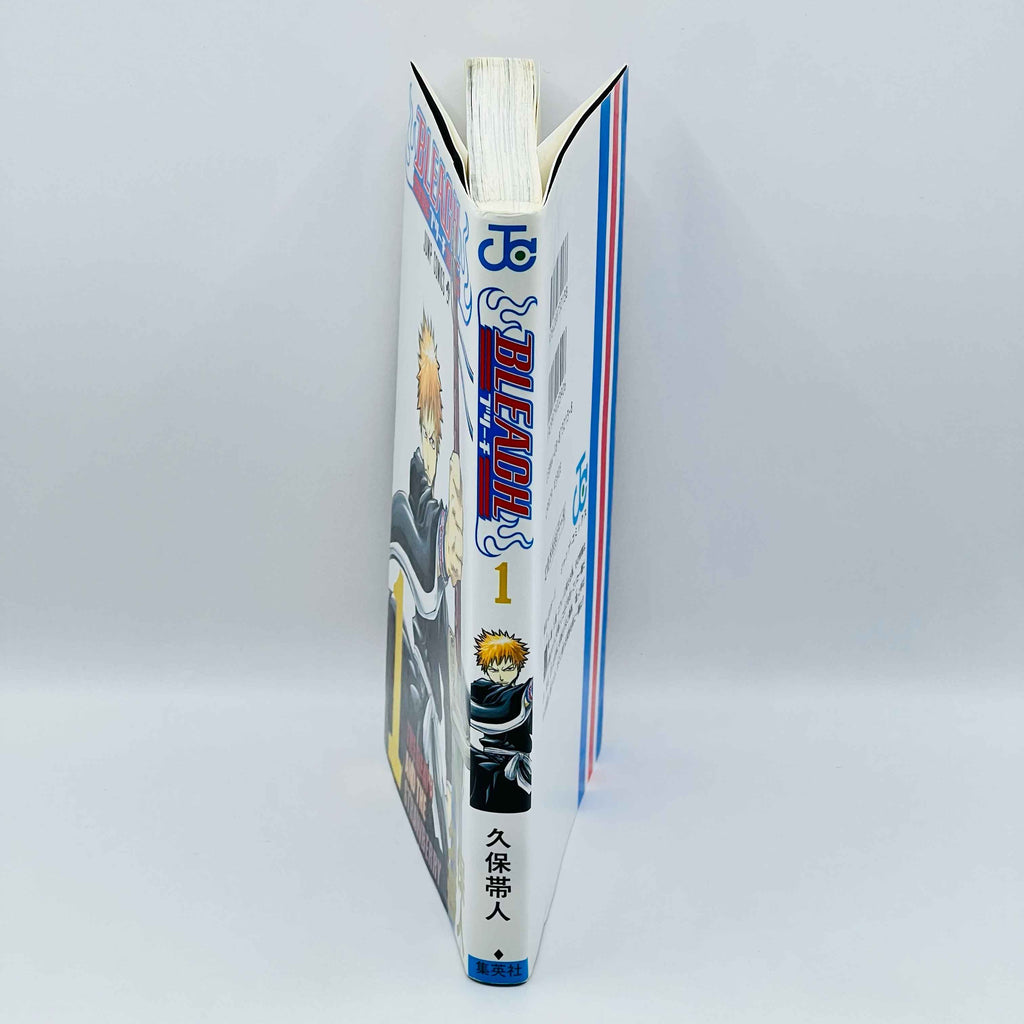 Bleach - Volume 01