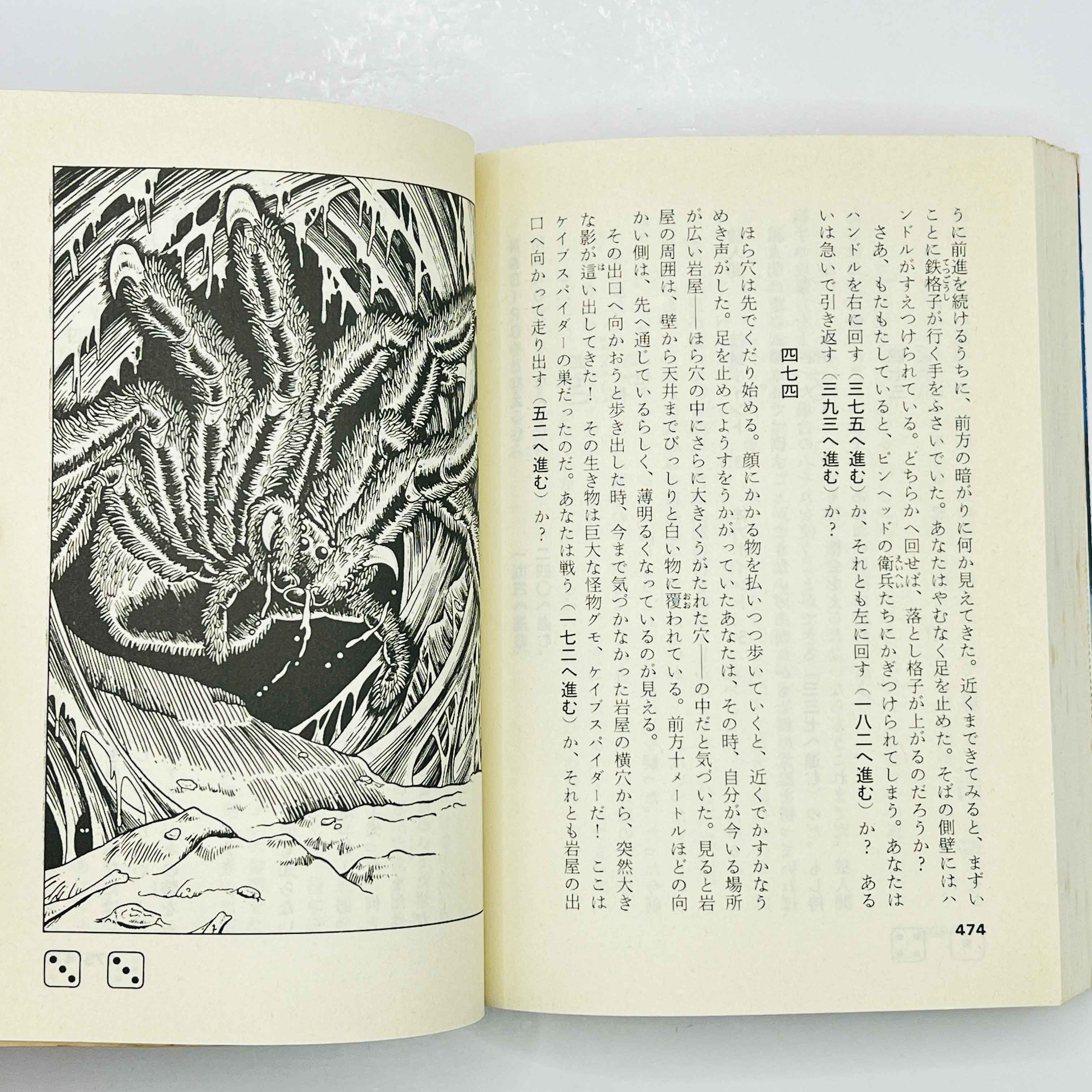 Sleeping Dragon Lavance (Dragon Song Legend 01) - Gamebook