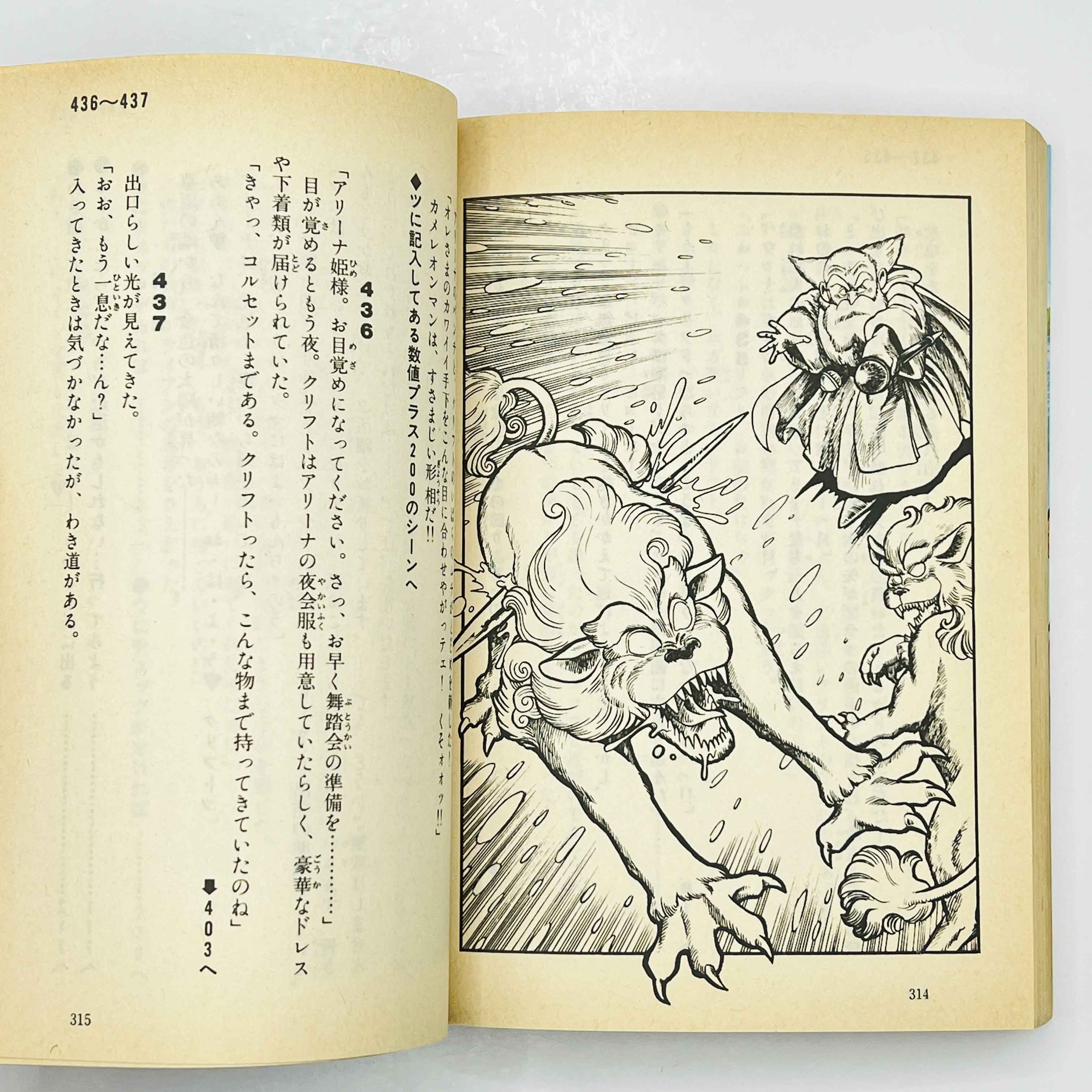 Dragon Quest IV (Complete Set) - Gamebook