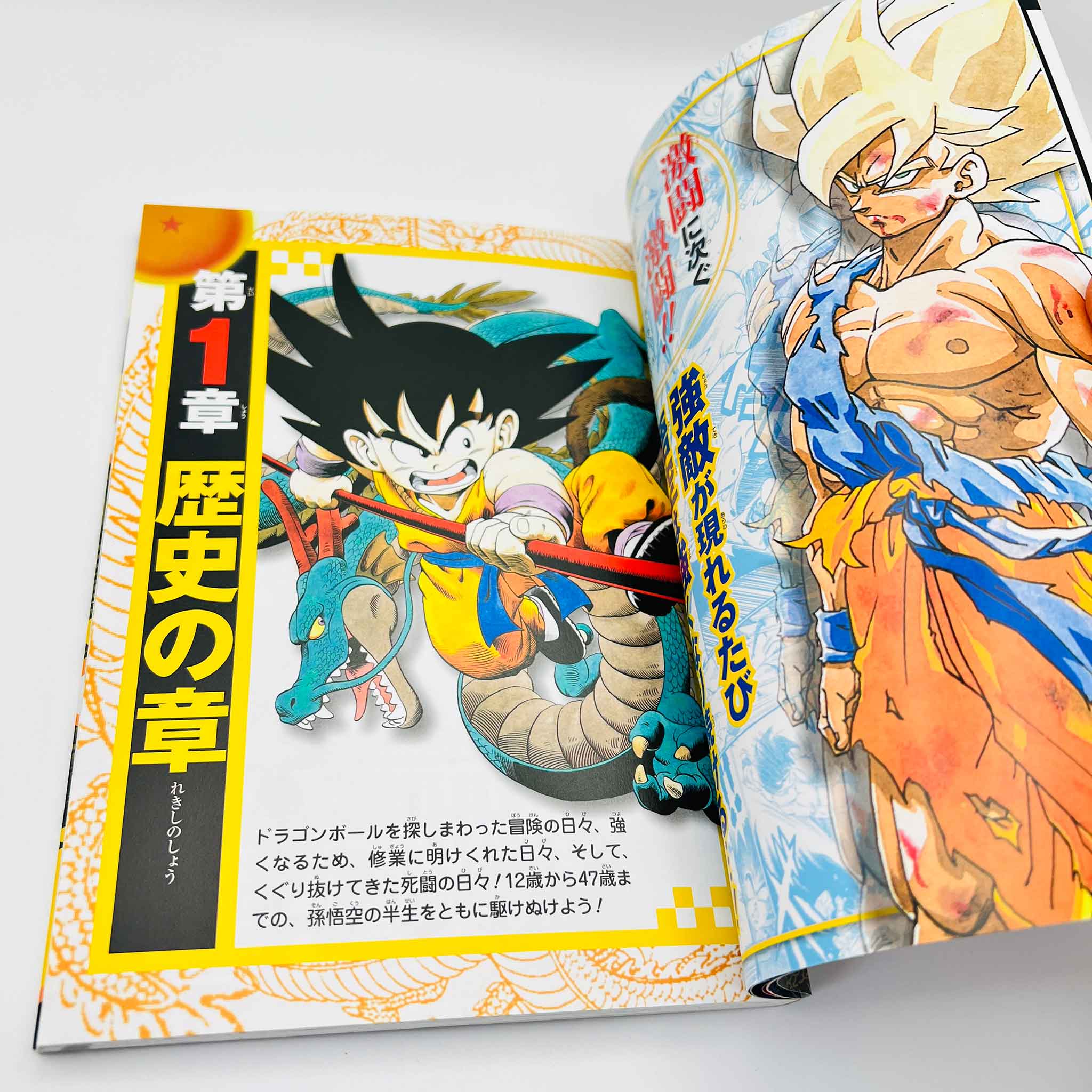 Dragon Ball : Super Exciting Guide (Story)