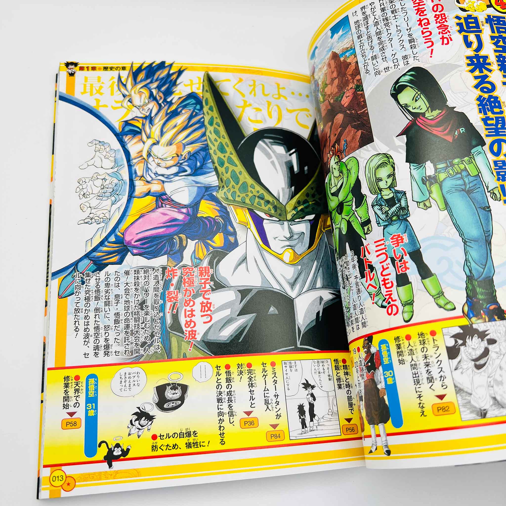Dragon Ball : Super Exciting Guide (Story)