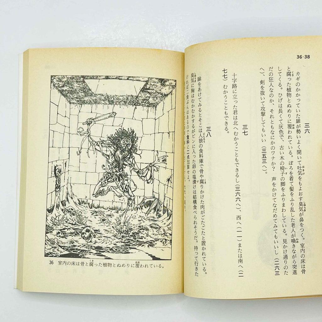 The Warlock of Firetop Mountain (Fighting Fantasy) - Volume 01 /w Obi