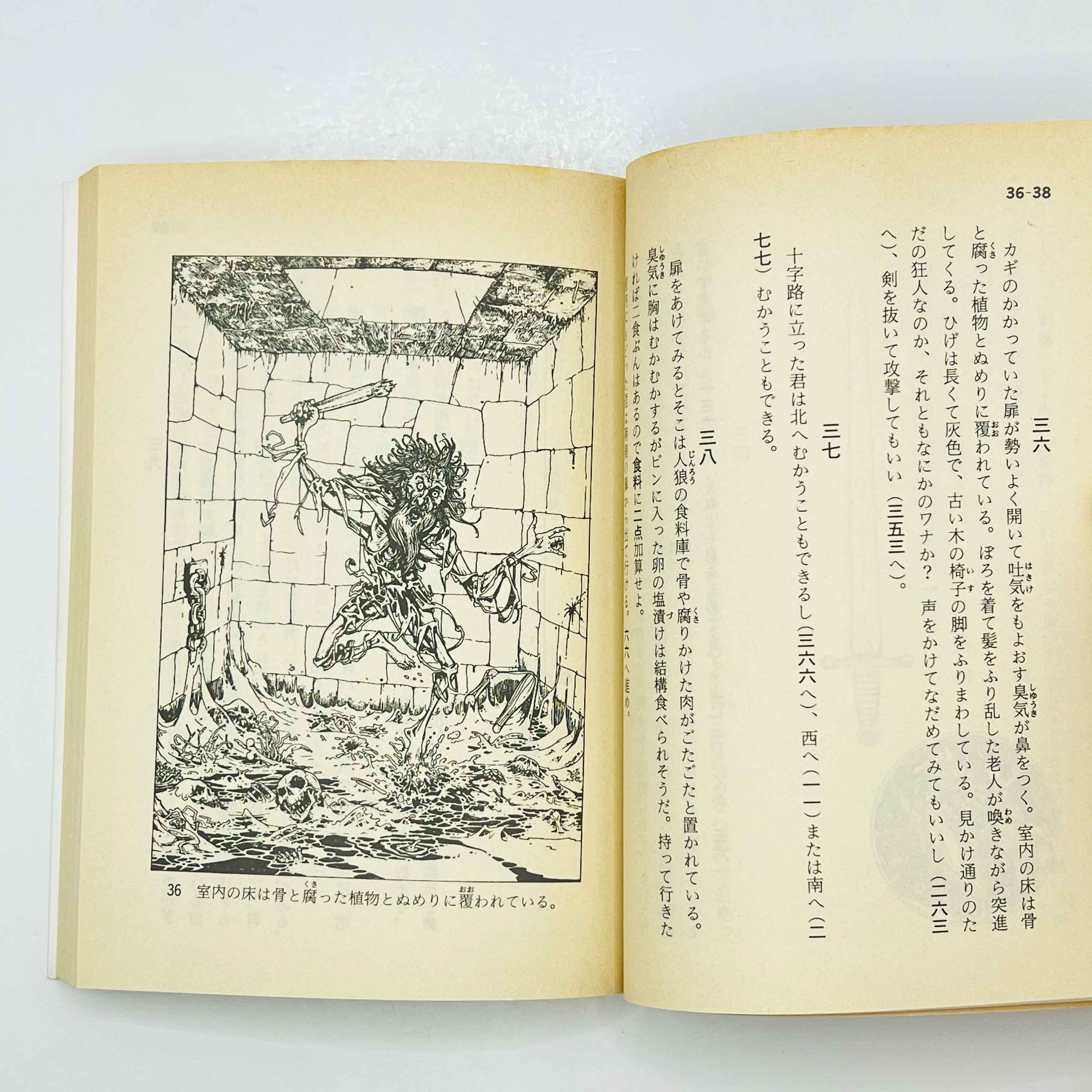 The Warlock of Firetop Mountain (Fighting Fantasy) - Volume 01 /w Obi