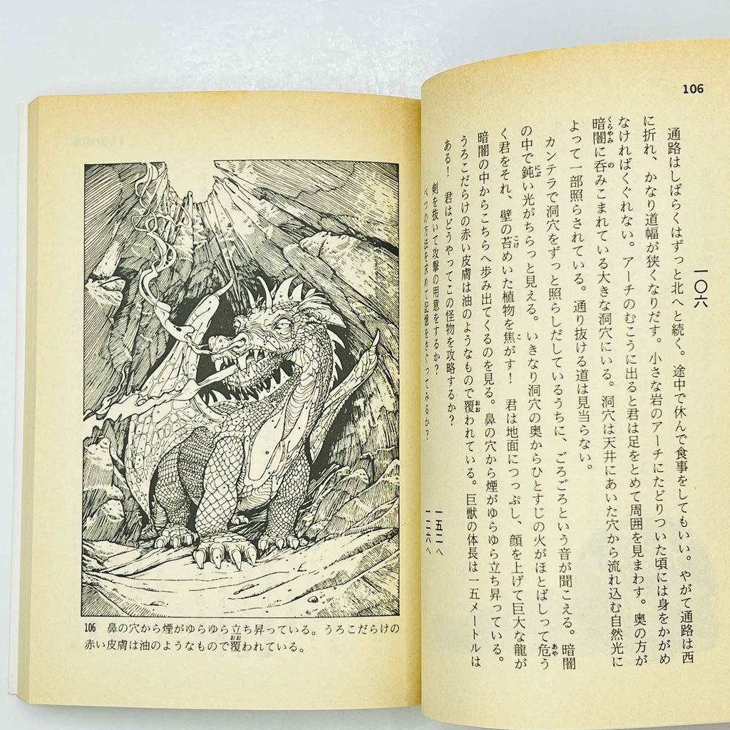 The Warlock of Firetop Mountain (Fighting Fantasy) - Volume 01 /w Obi