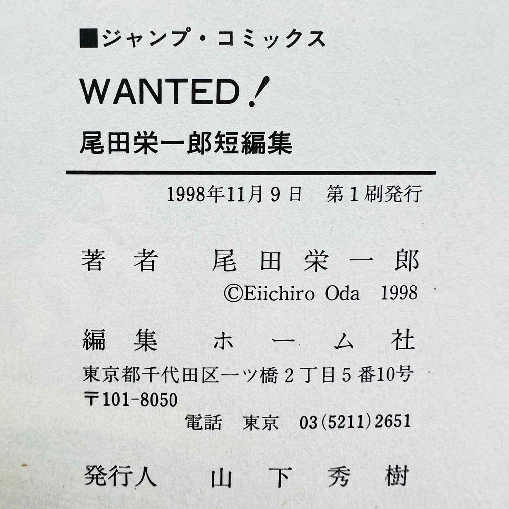 One Piece Wanted