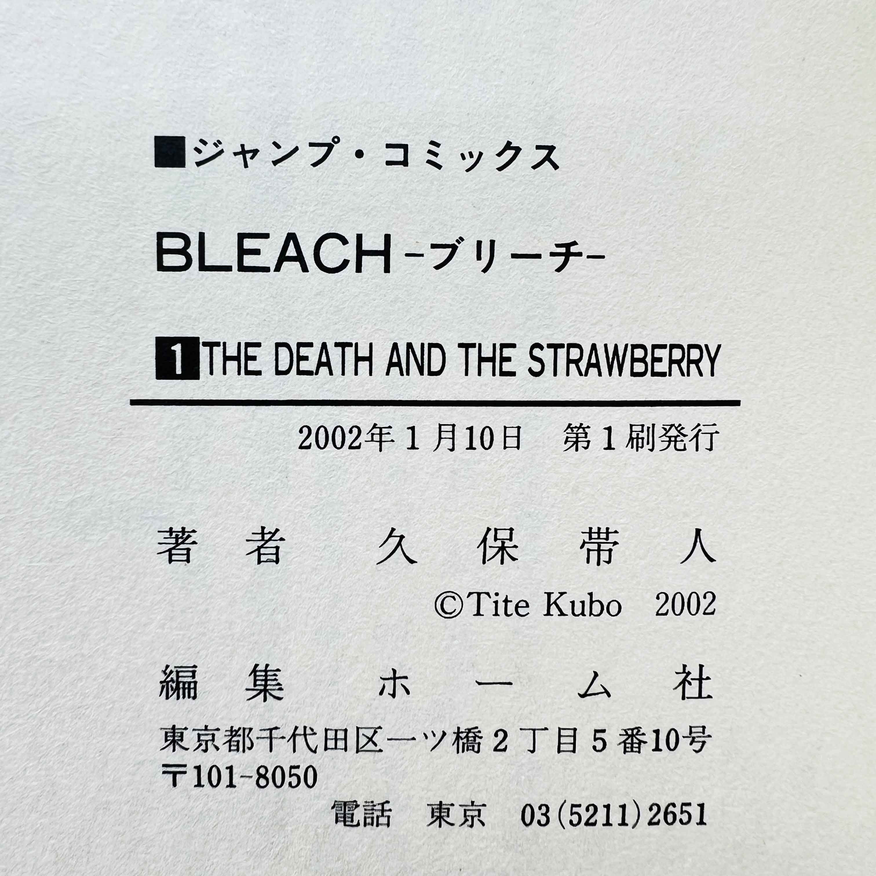 Bleach - Volume 01