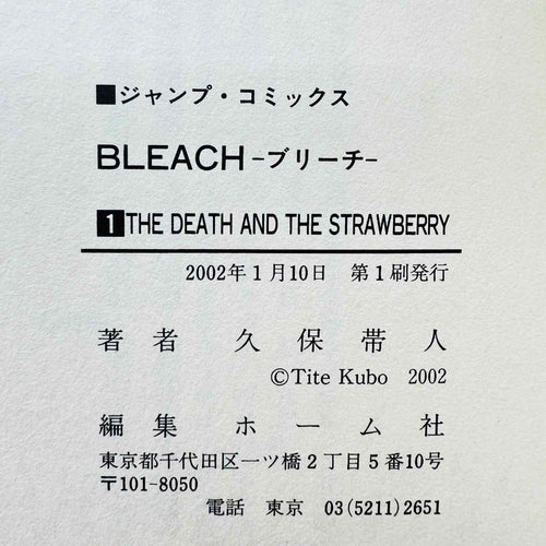 Bleach - Volume 01