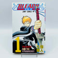 Bleach - Volume 01