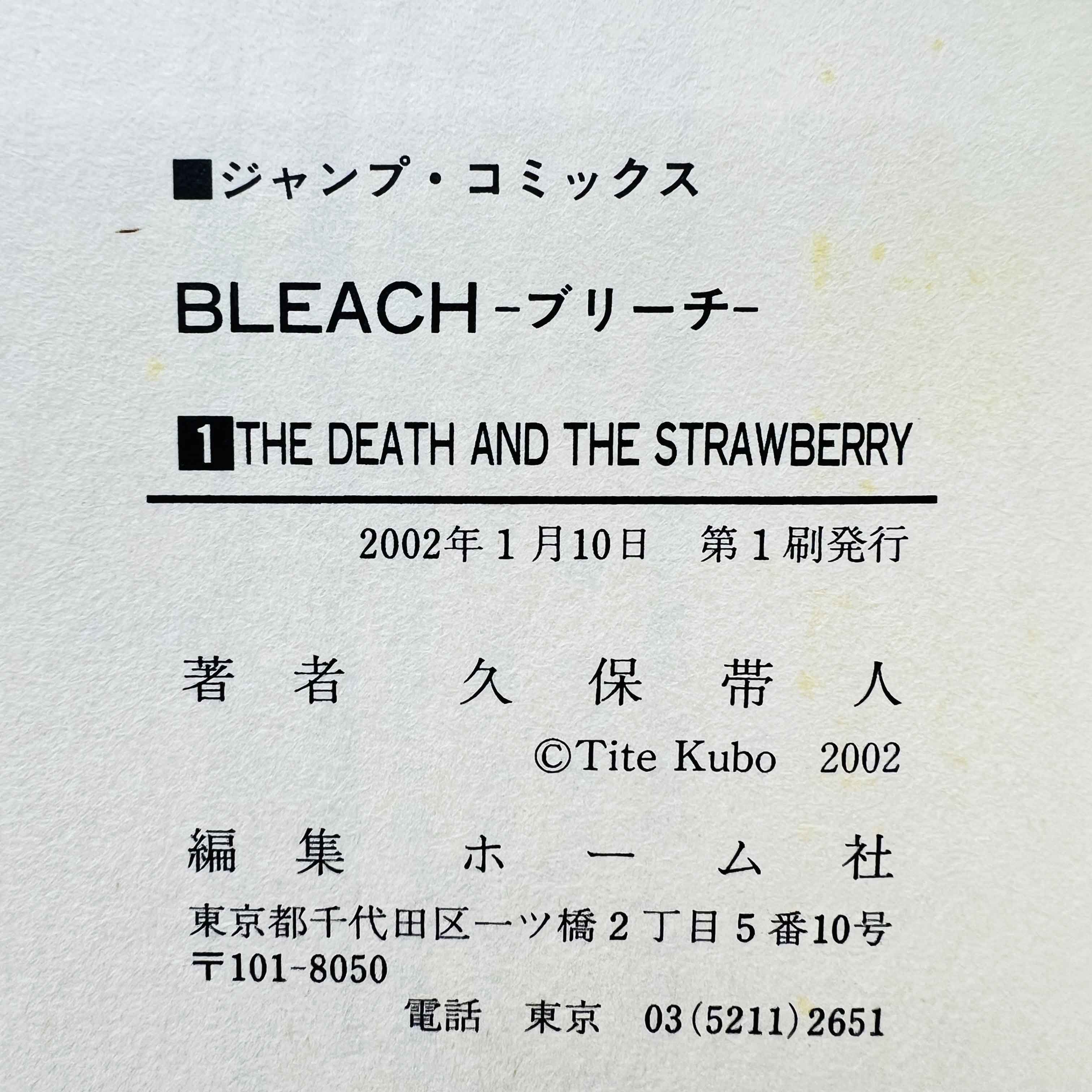 Bleach - Volume 01