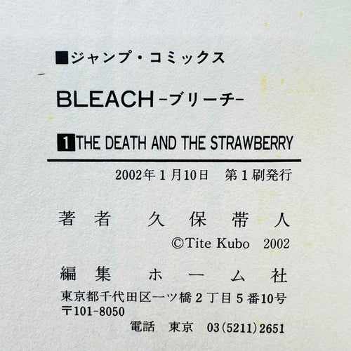 Bleach - Volume 01