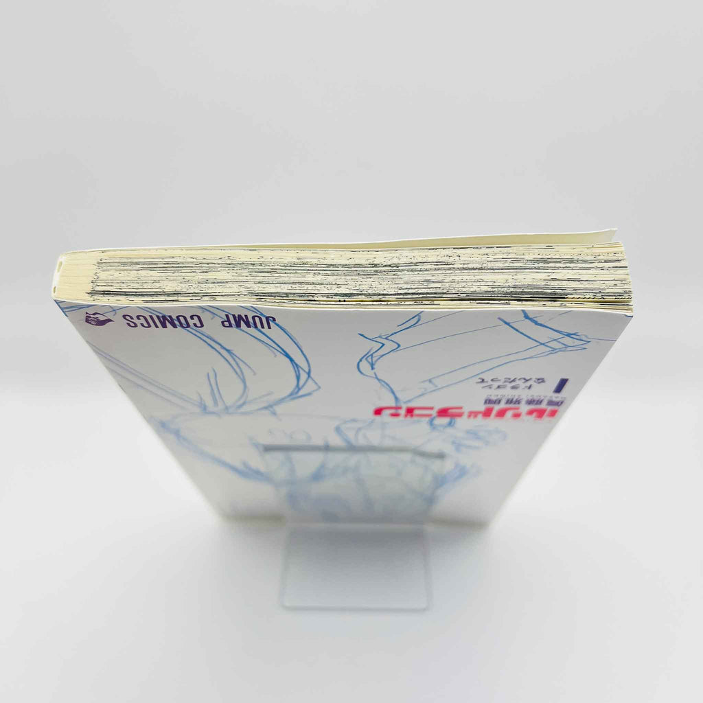 RuriDragon - Volume 01 /w Obi