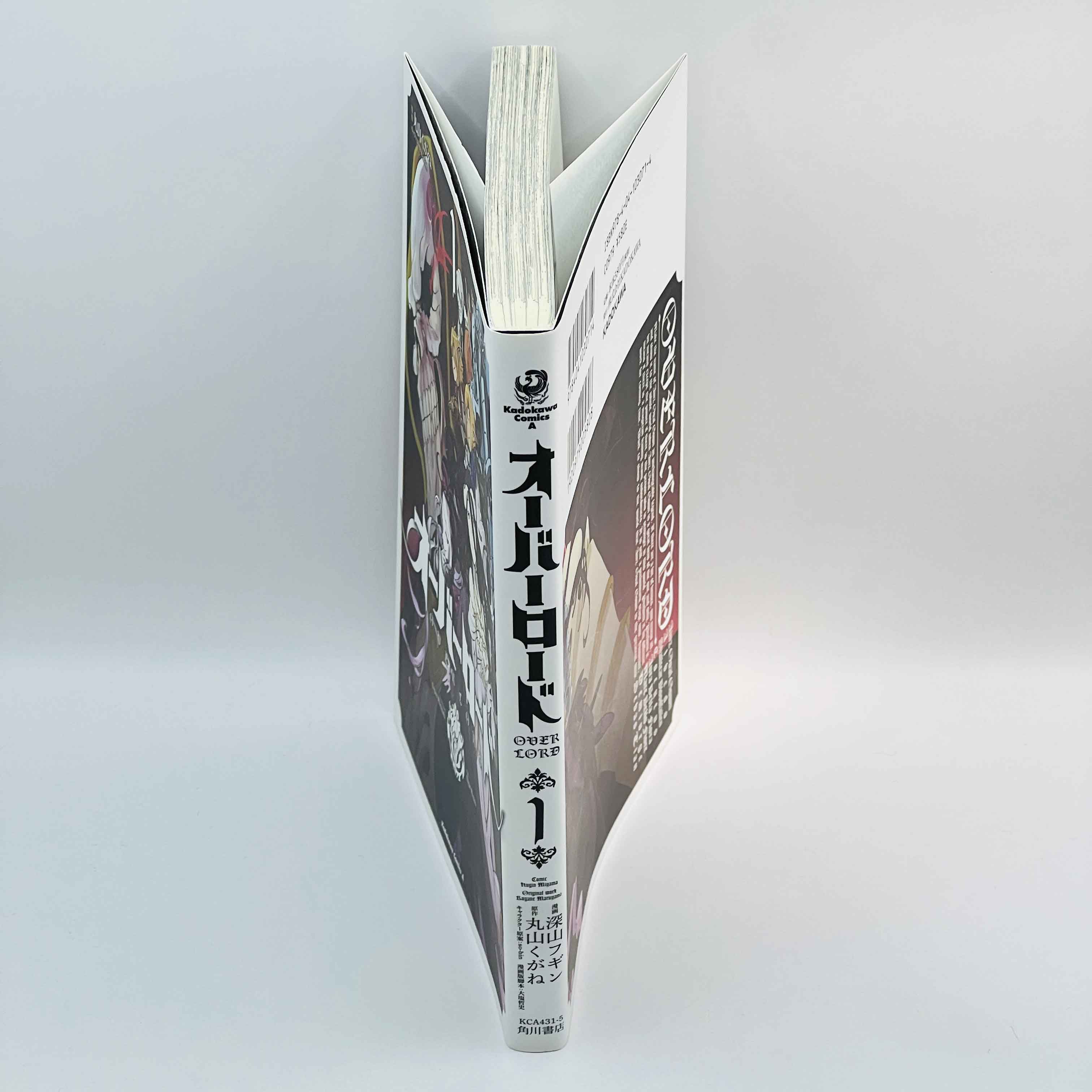 Overlord - Volume 01