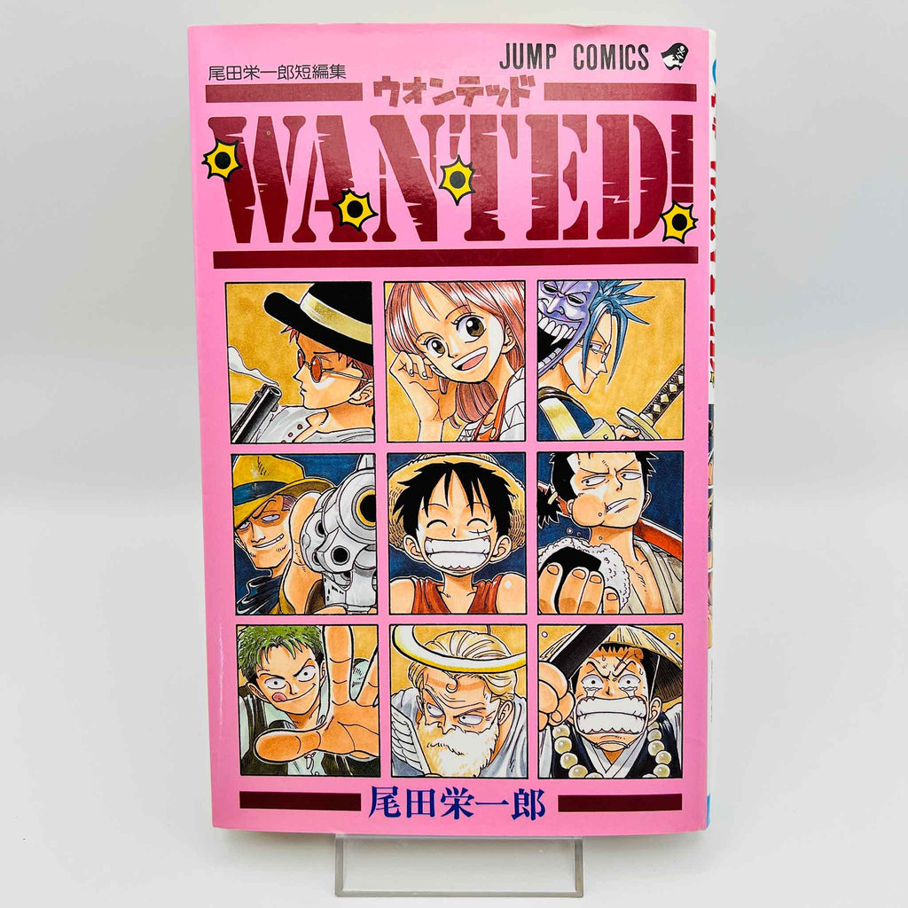 One Piece Wanted