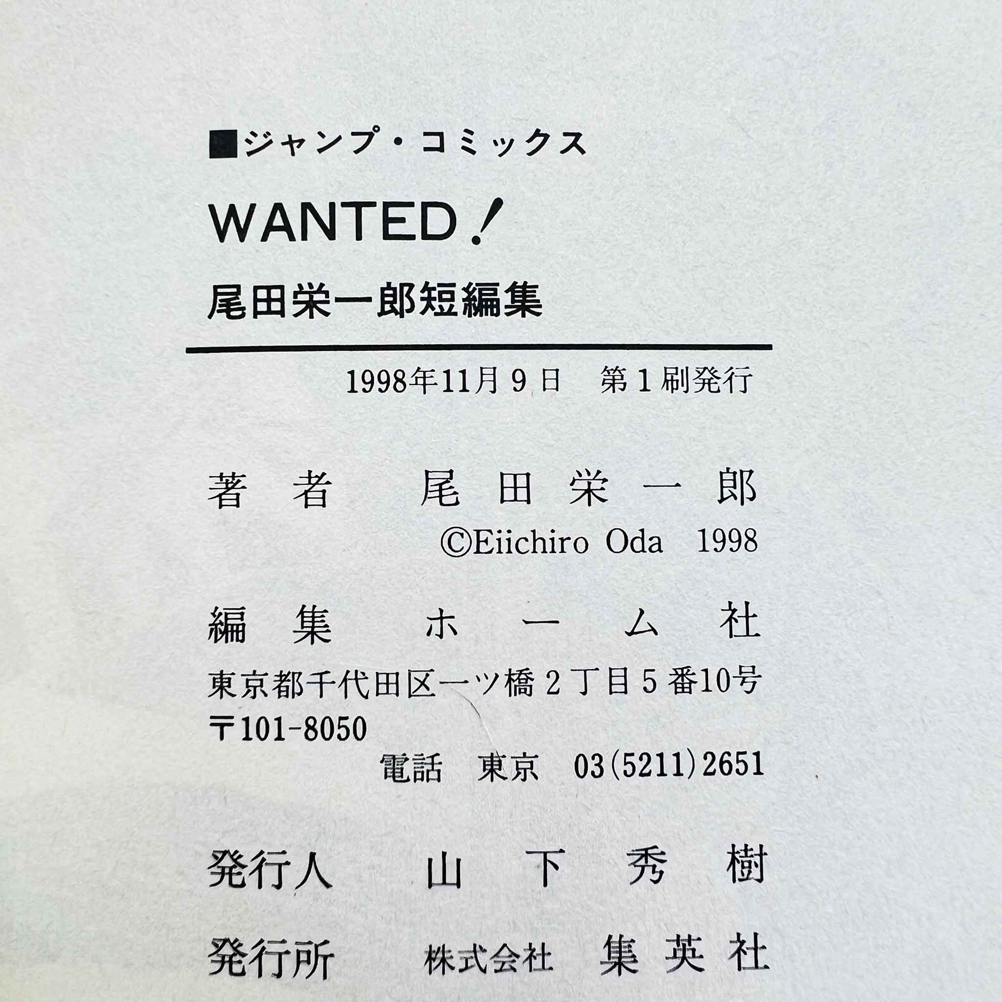One Piece Wanted