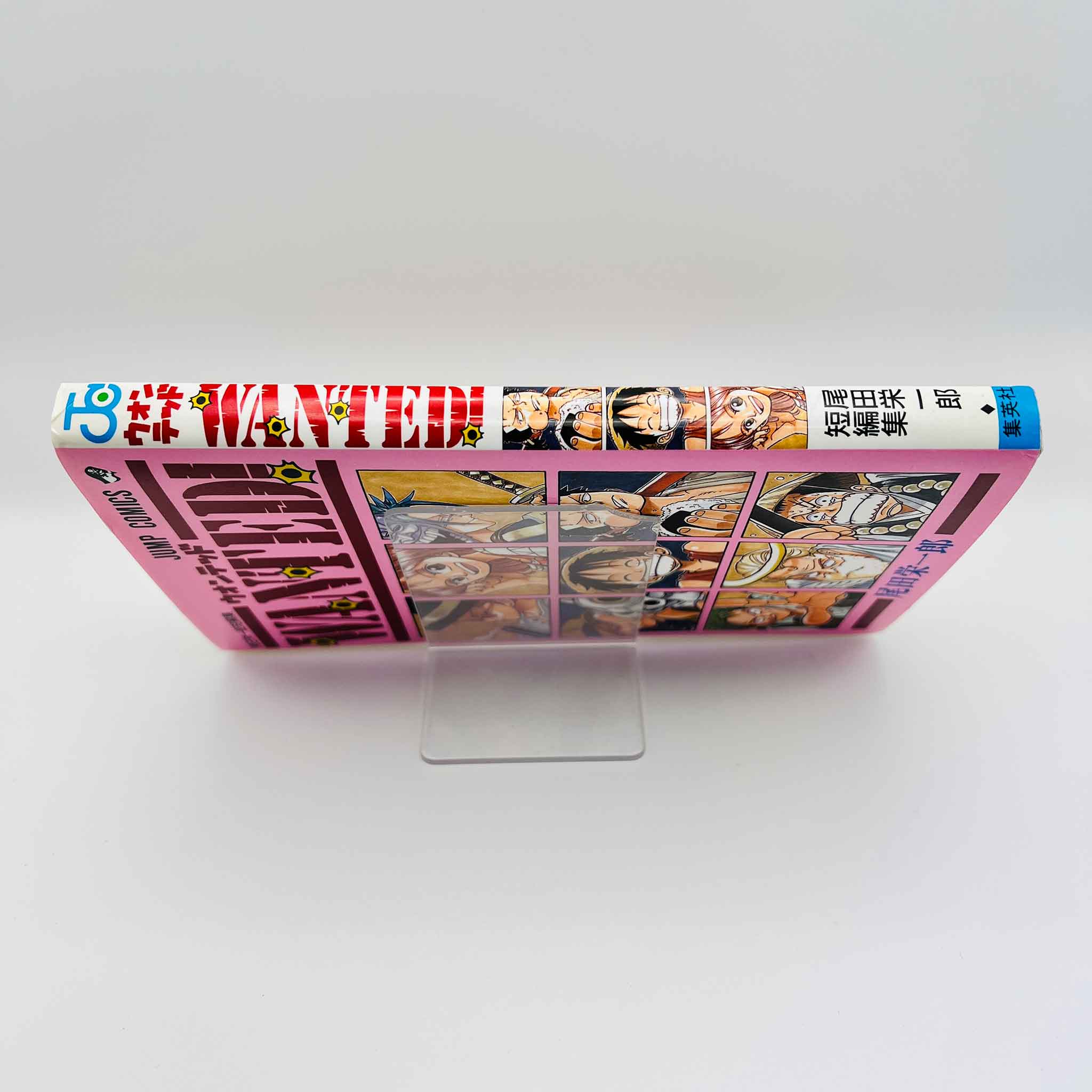 One Piece Wanted