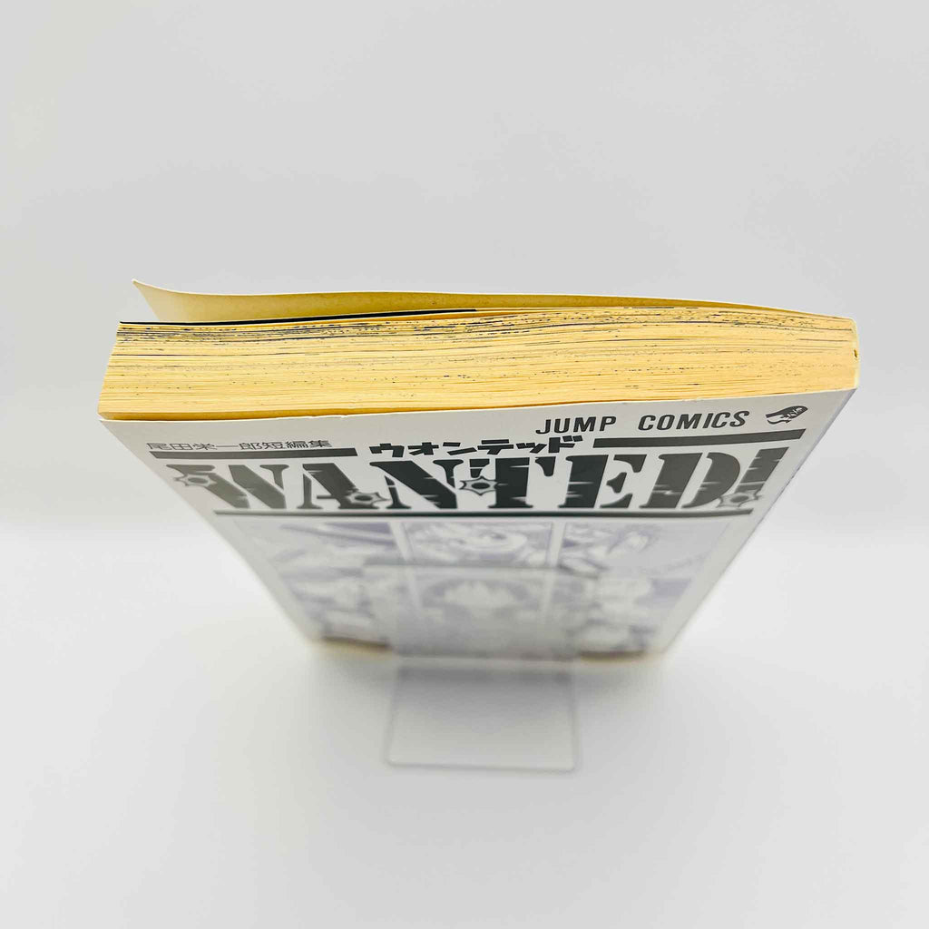 One Piece Wanted