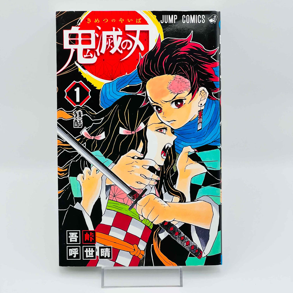 Demon Slayer - Volume 01